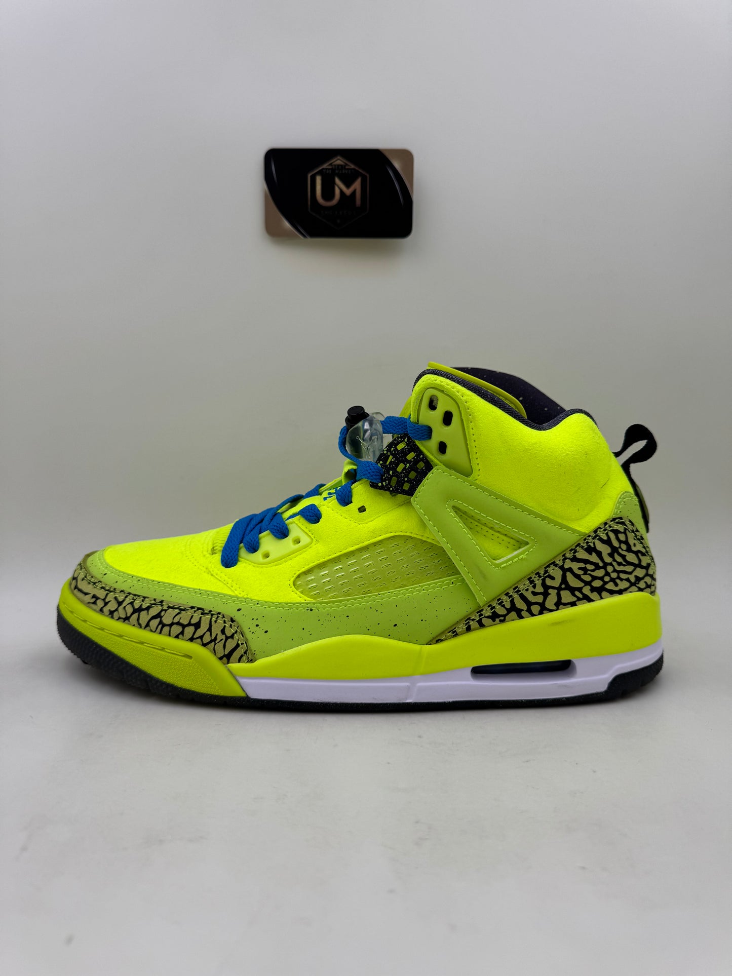 Nike Spizike ‘BHM’ | Size 9.5