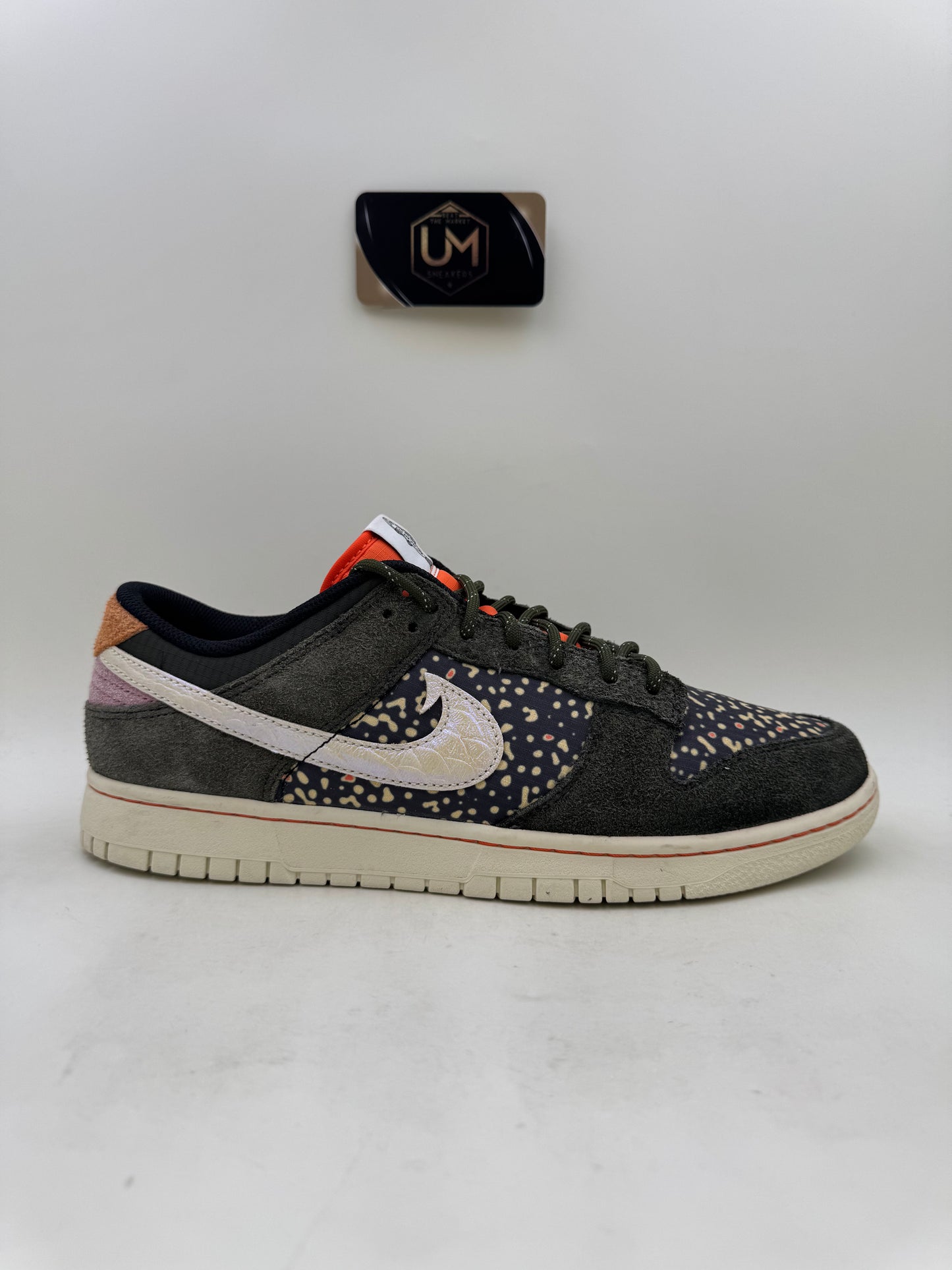 Nike Dunk SE ‘Gone Fishing - Rainbow Trout’ | Size 11