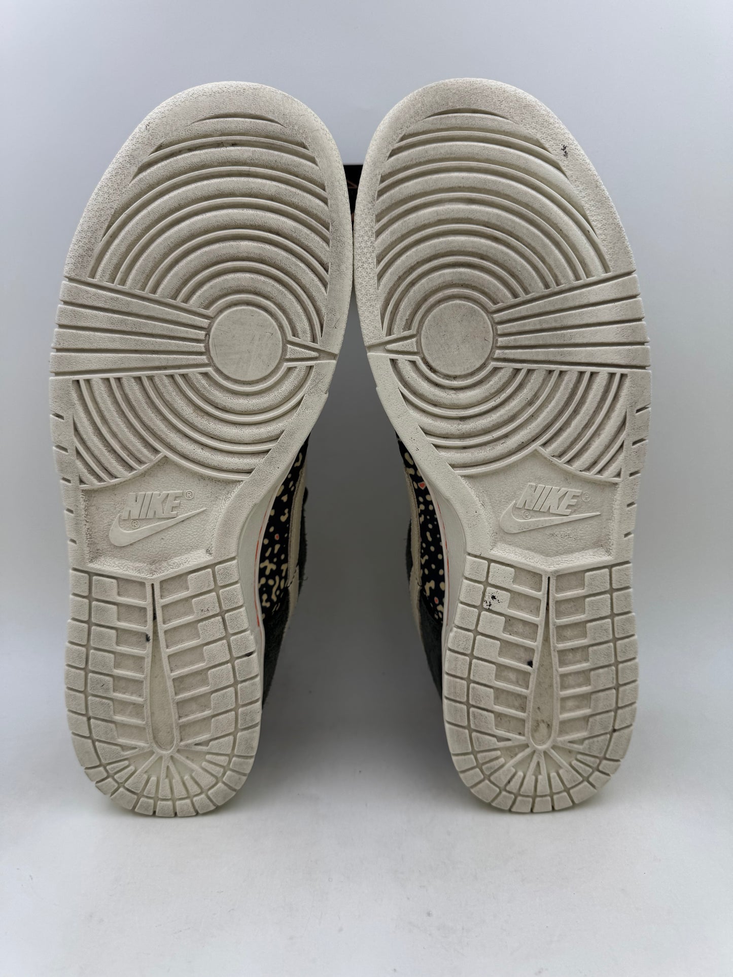 Nike Dunk SE ‘Gone Fishing - Rainbow Trout’ | Size 11