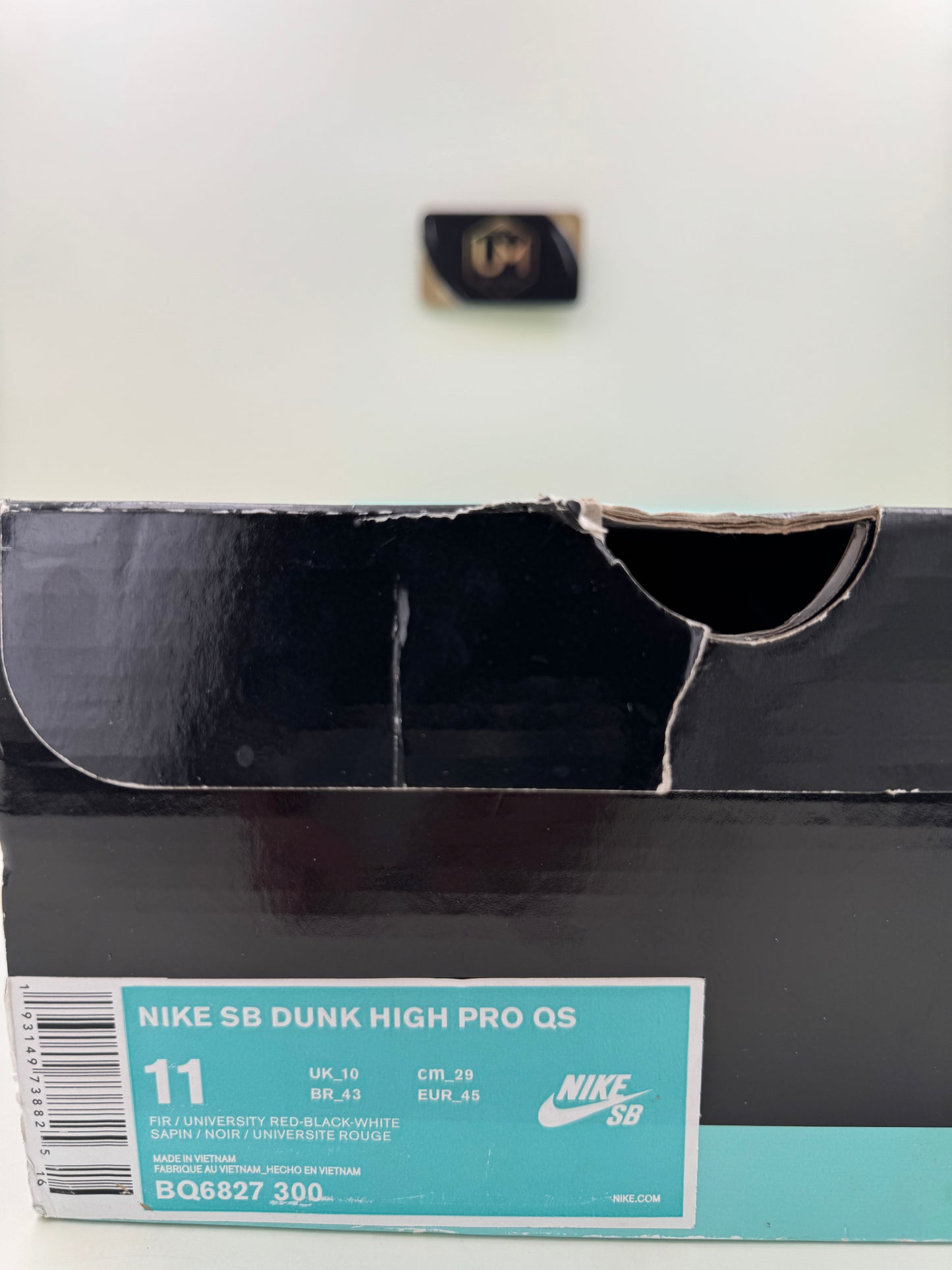 Nike Dunk High SB ‘Walk The Dog’ | Size 11