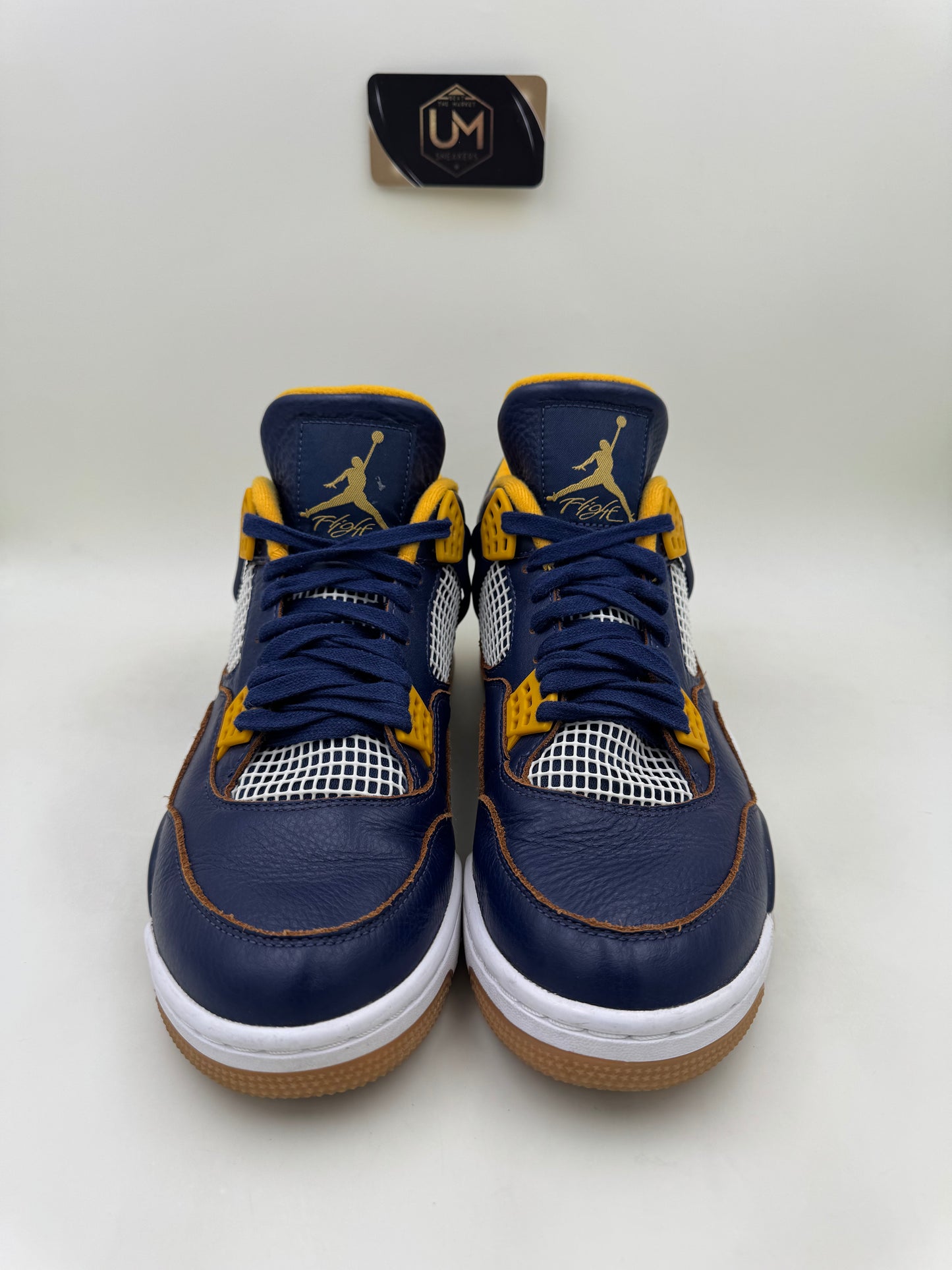 Jordan 4 'Dunk From Above' | Size 11