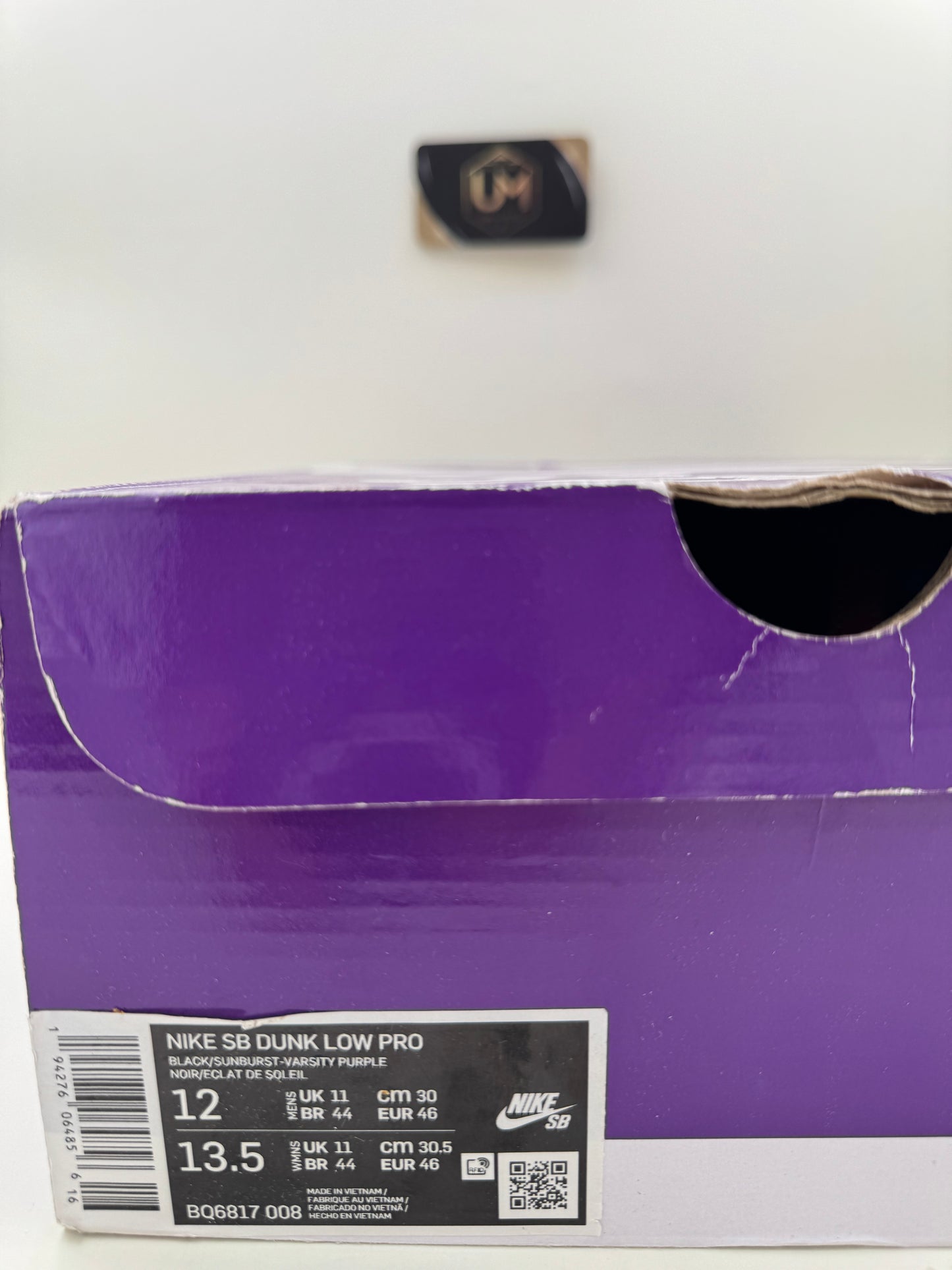 Nike Dunk Low Pro SB 'ACG Terra' | Size 12