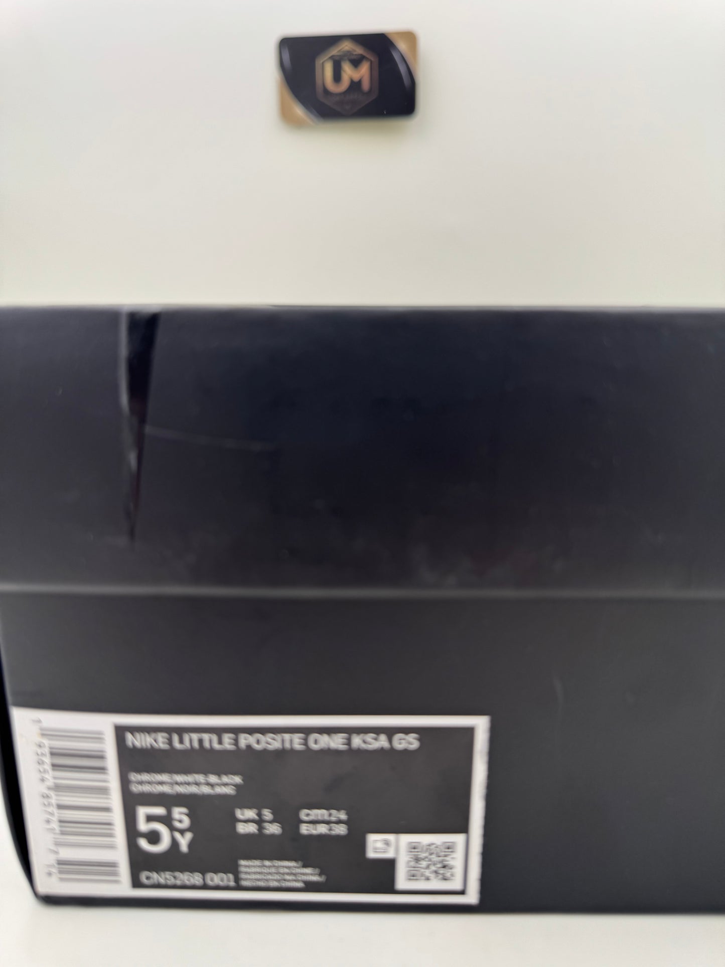 Nike Little Posite One 'Chrome' | Size Size 5.5Y