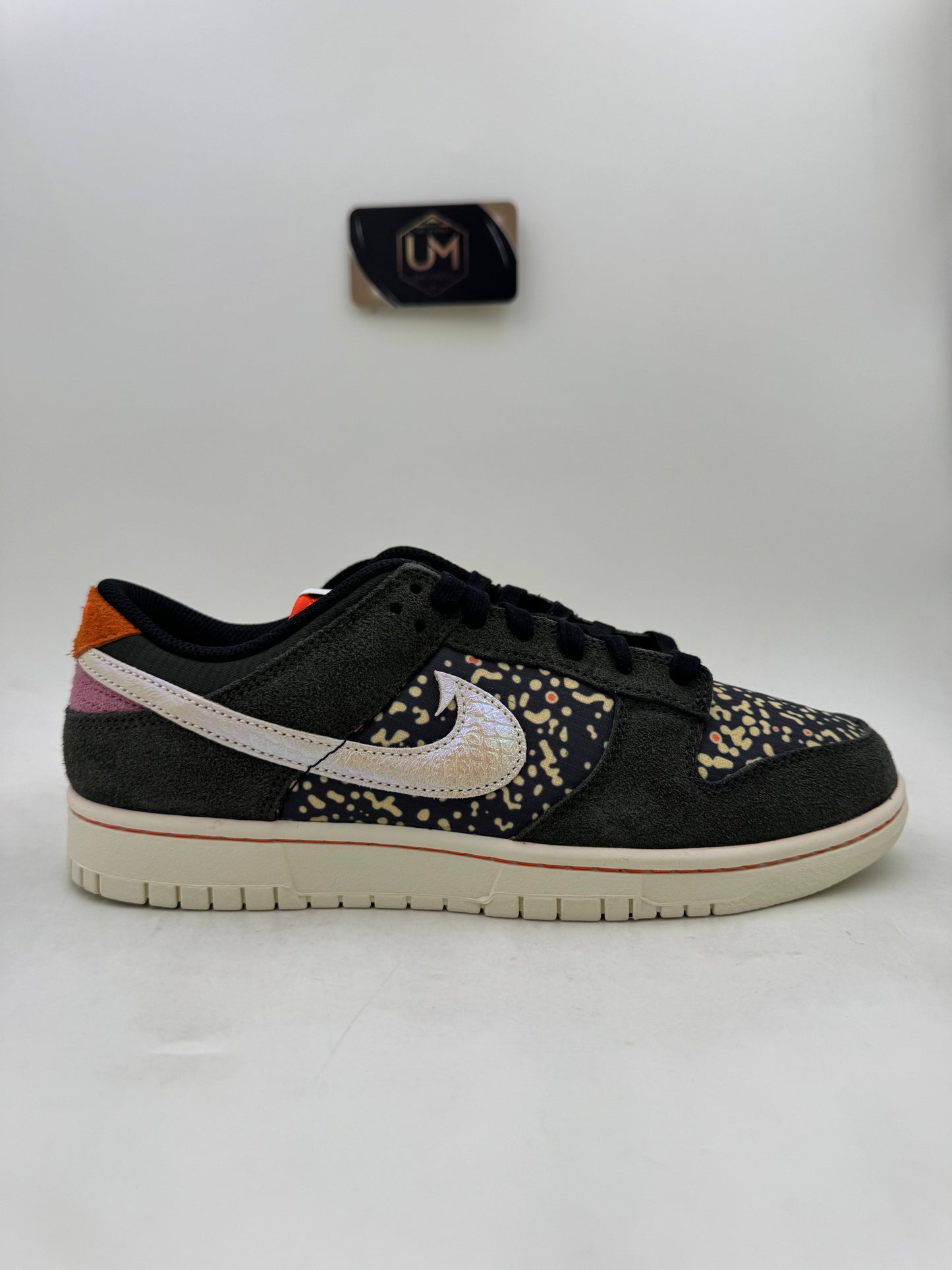 Nike Dunk Low SE ‘Gone Fishing - Rainbow Trout’ | Size 9