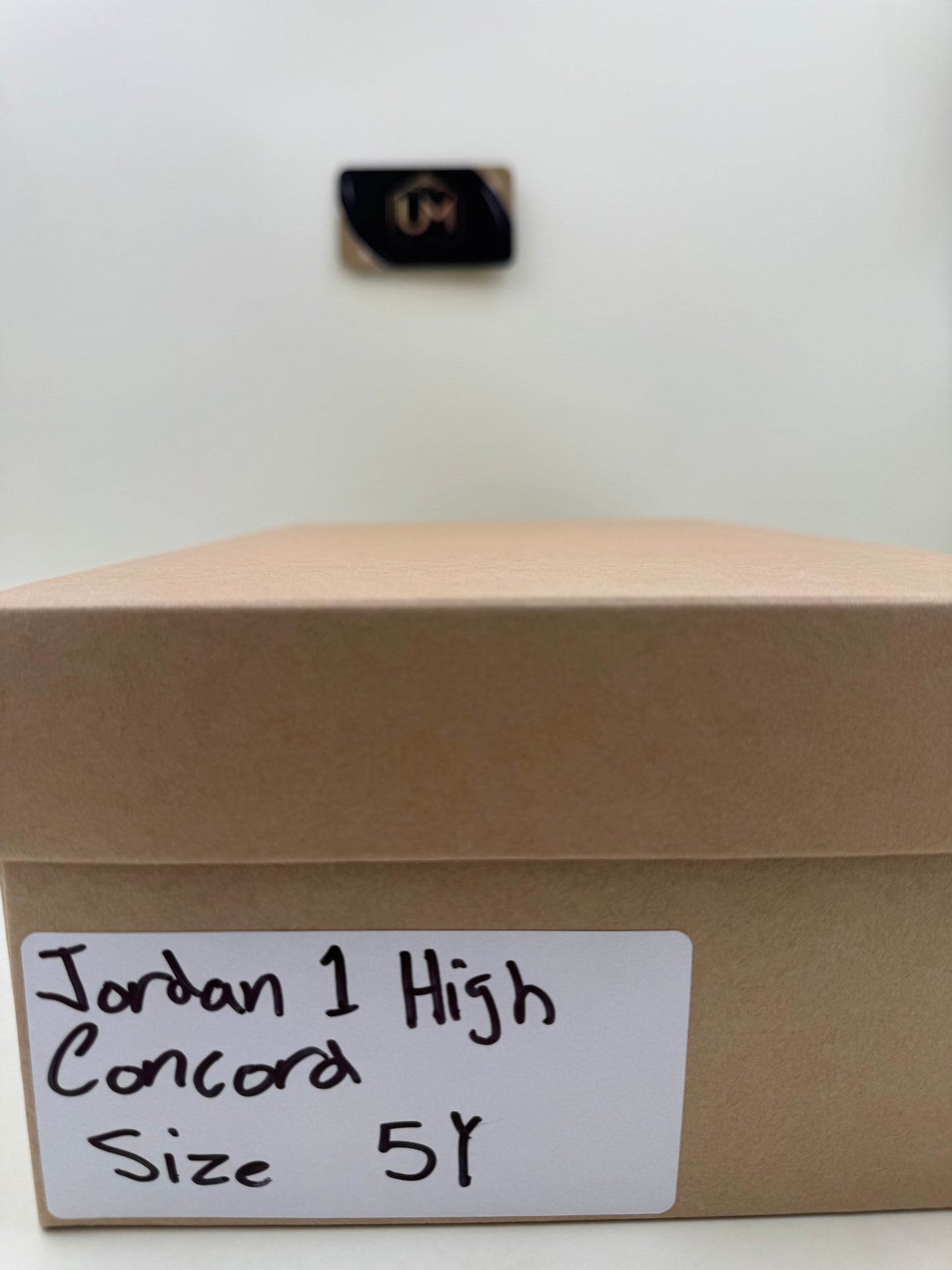 Jordan 1 High ‘Concord’ | Size 5Y