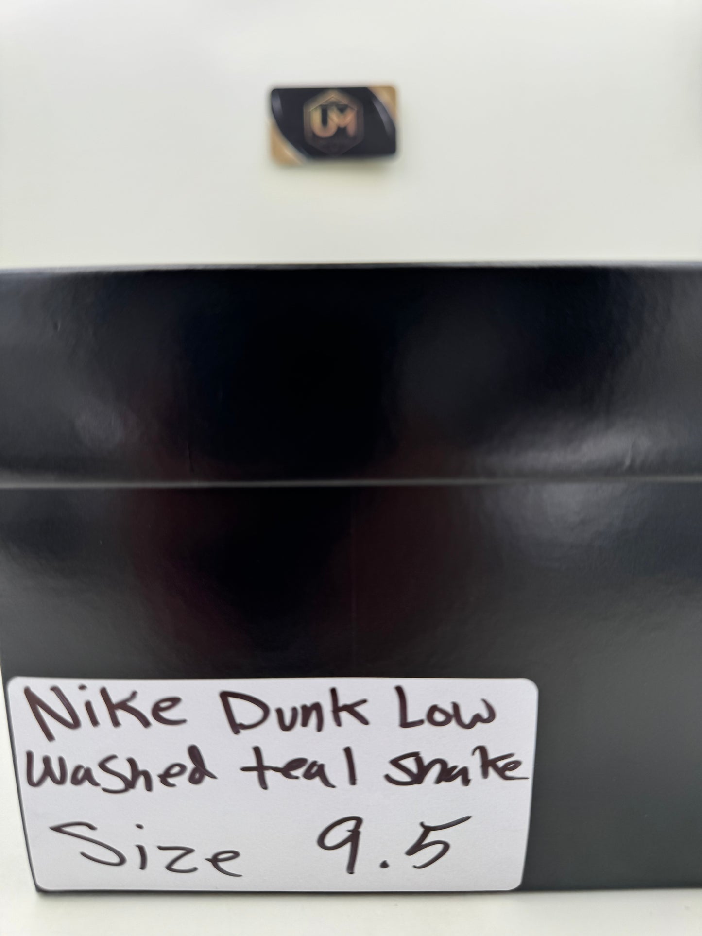 Nike Dunk Low ‘Washed Teal Snakeskin’ | Size 9.5