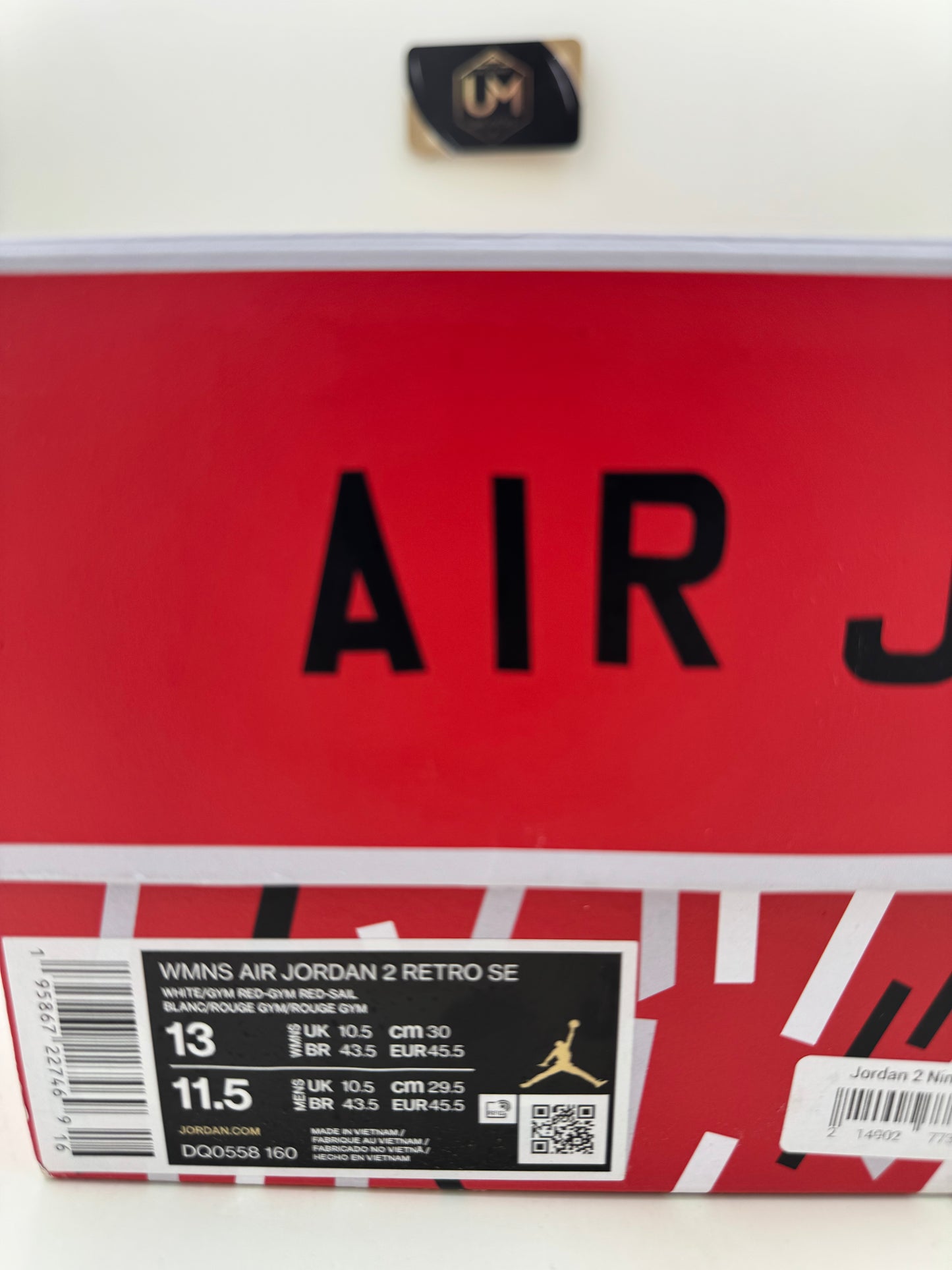 Nina Chanel Abney x Jordan 2 SE | Size 11.5