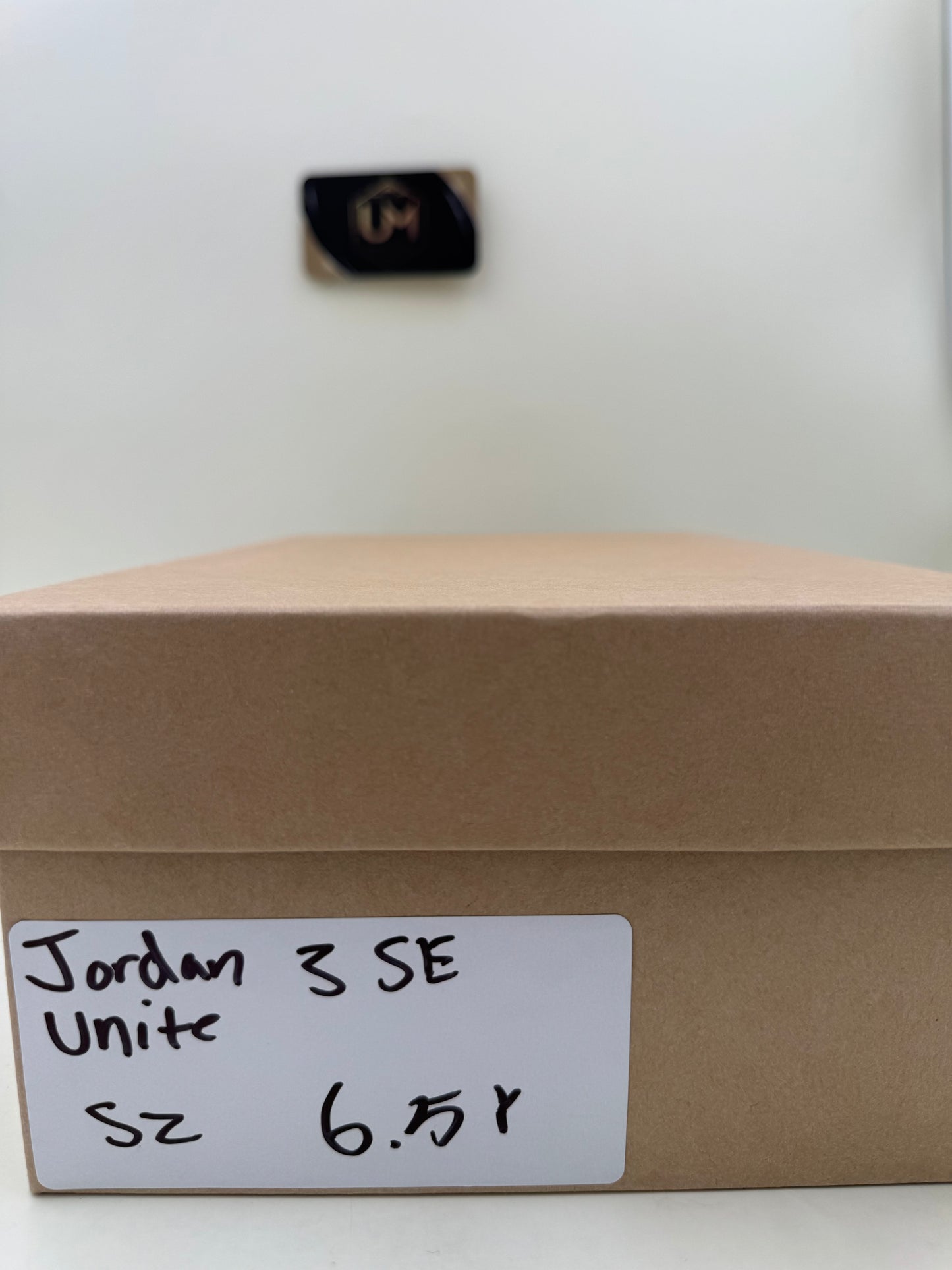 Jordan 3 SE ‘Unite’ | Size 6.5Y
