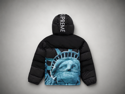 Supreme x The North Face Statue Of Liberty Baltoro Jacket 'Black' | Size S