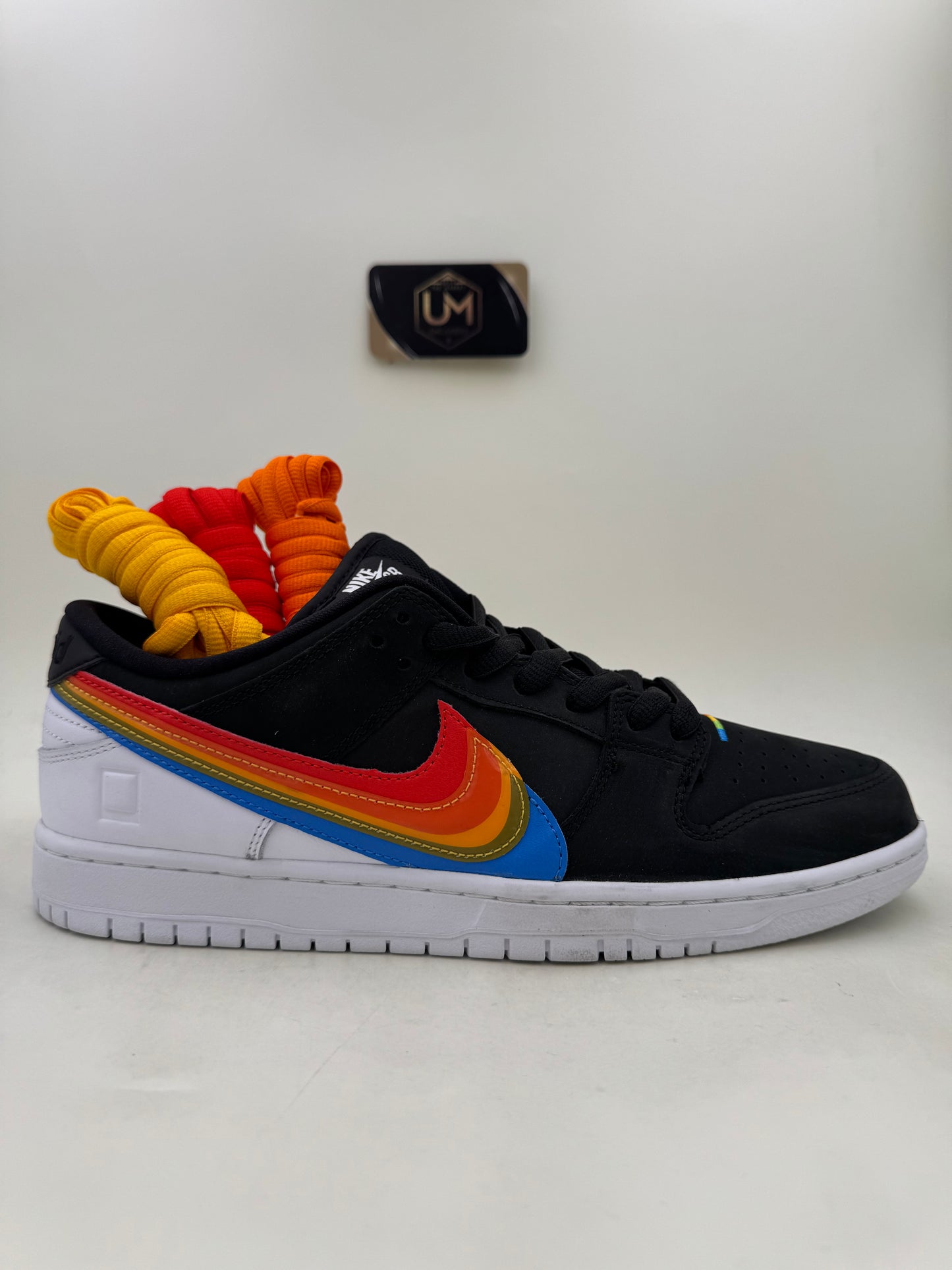 Polaroid x Nike Dunk Low SB | Size 11