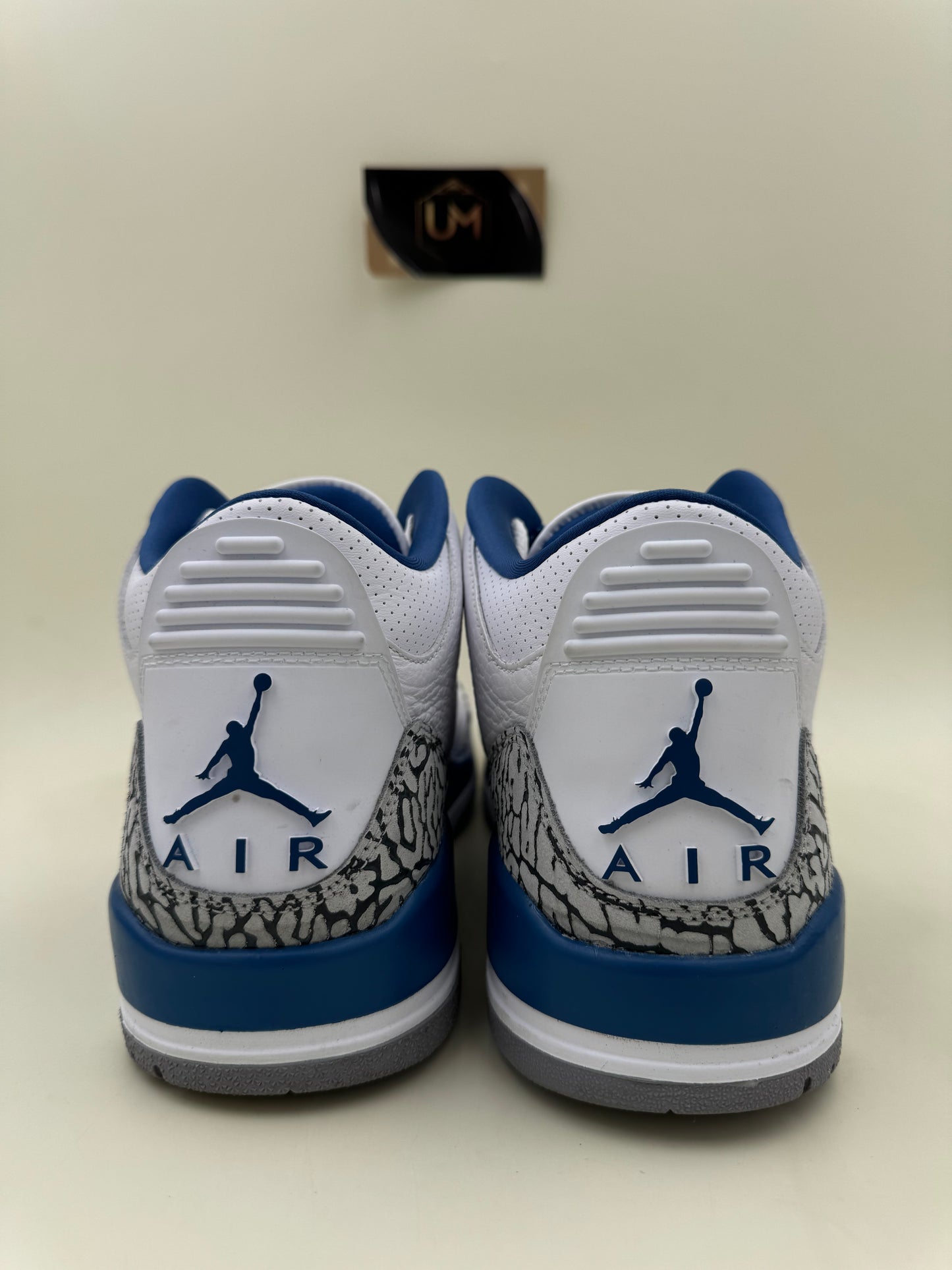 Jordan 3 'Washington Wizards' | Size 9.5