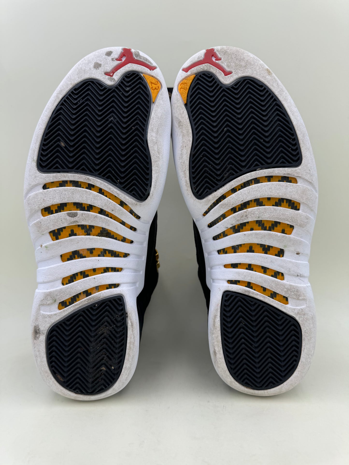 Jordan 12 'Reverse Taxi' | Size 9.5