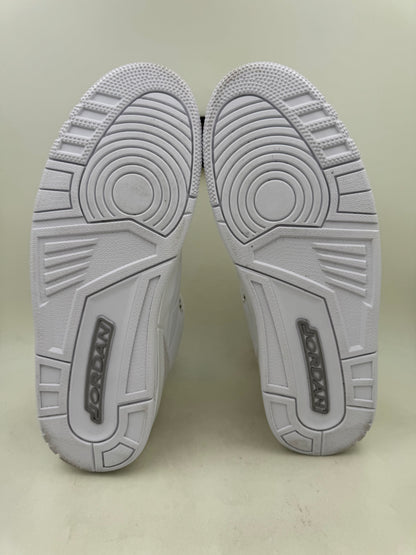Jordan 3 ‘Pure Money’ 2025 | Size 12