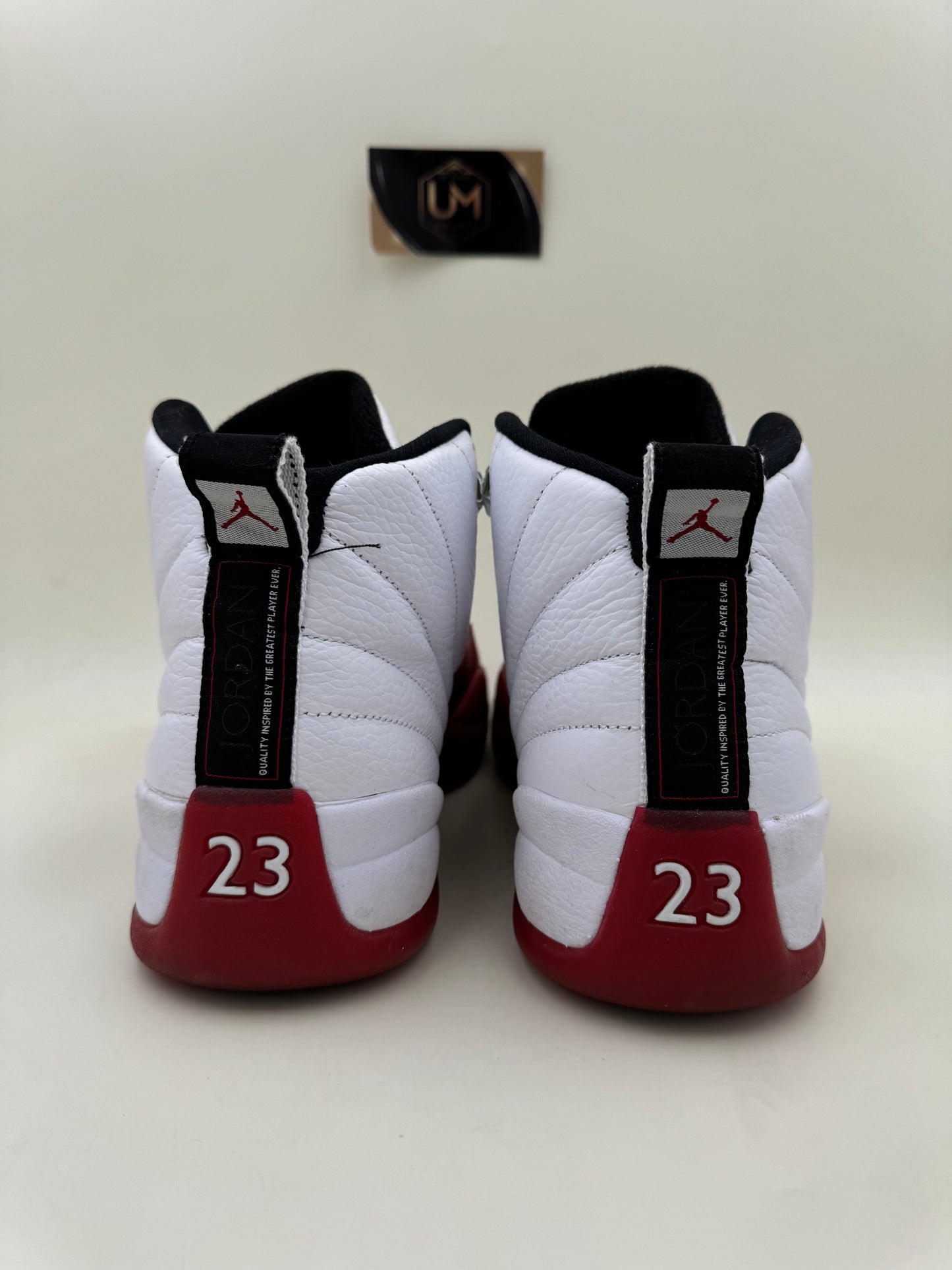 Jordan 12 'Cherry' 2009 | Size 10