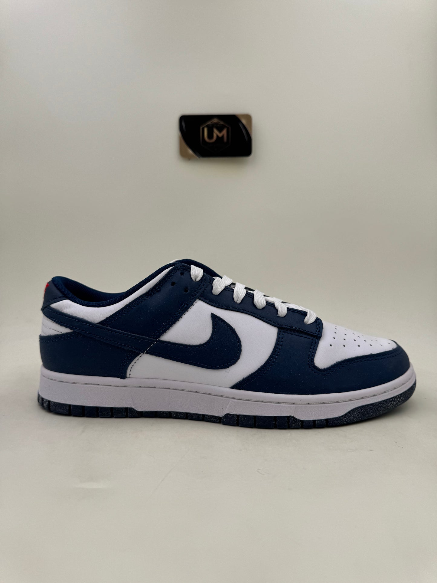 Nike Dunk Low ‘Valerian Blue’ | Size 10.5