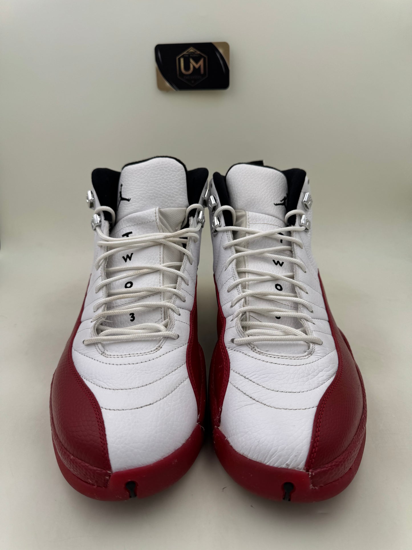 Jordan 12 ‘Cherry’ 2009 | Size 13