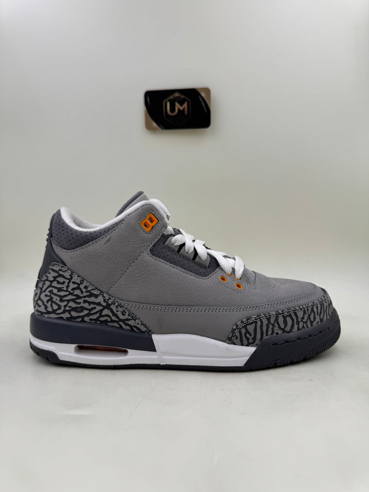 Jordan 3 ‘Cool Grey’ 2021