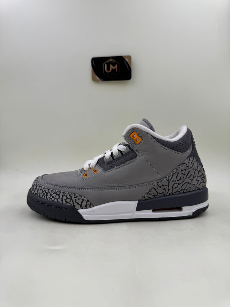 Jordan 3 ‘Cool Grey’ 2021