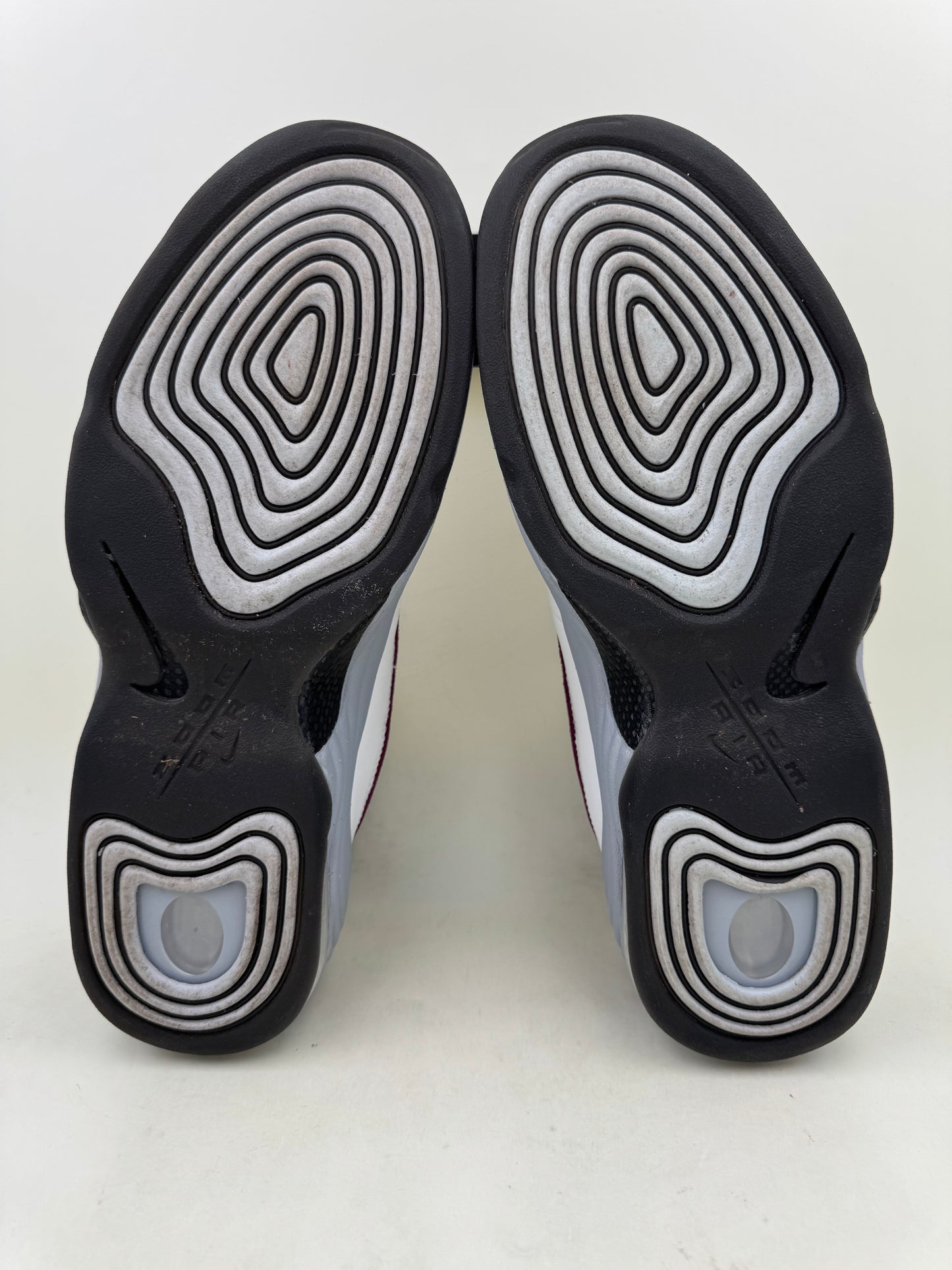 Nike Air Penny 2 ‘Rosewood’ | Size 11.5