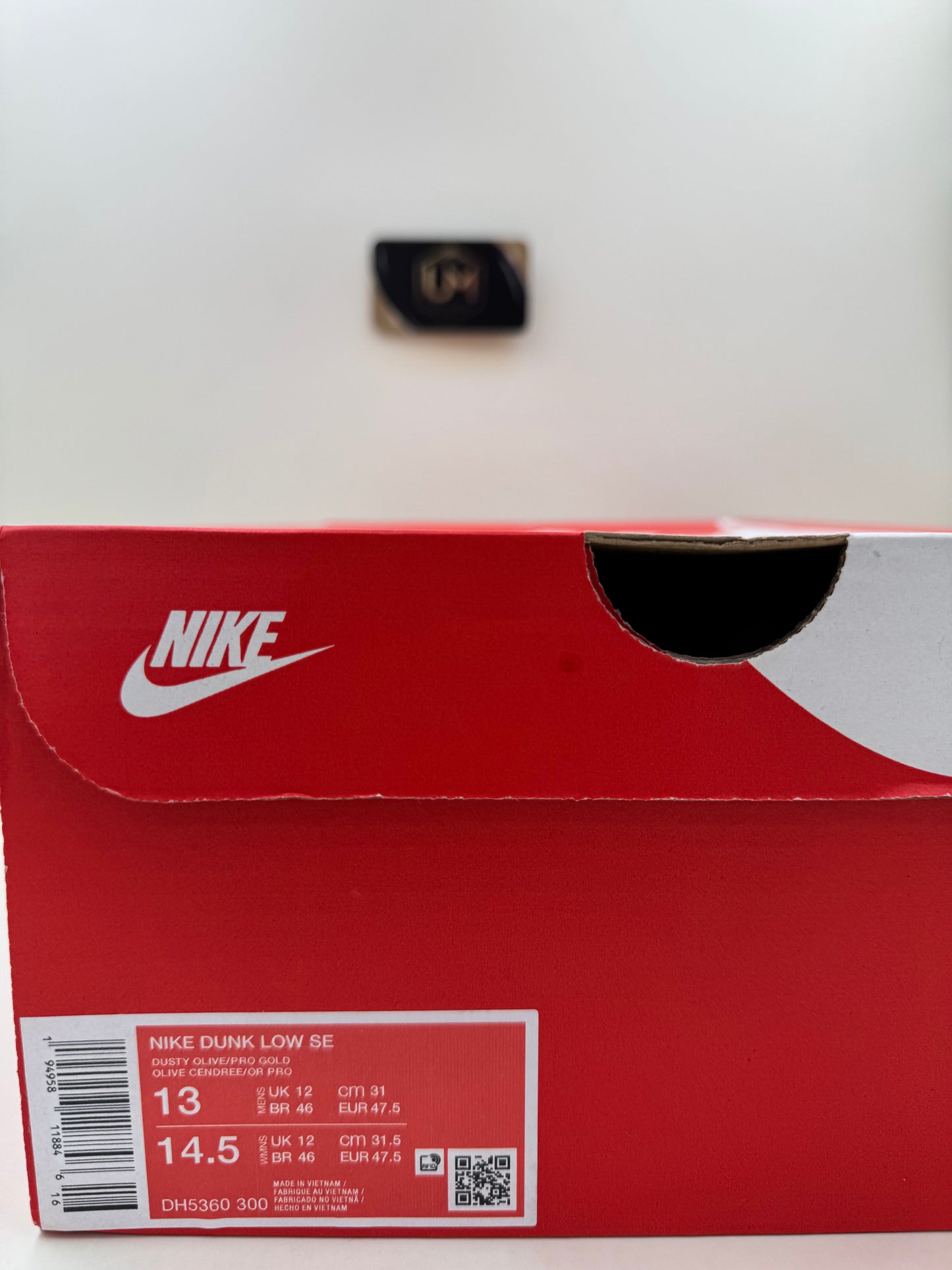Nike Dunk Low 'Dusty Olive' | Size 13