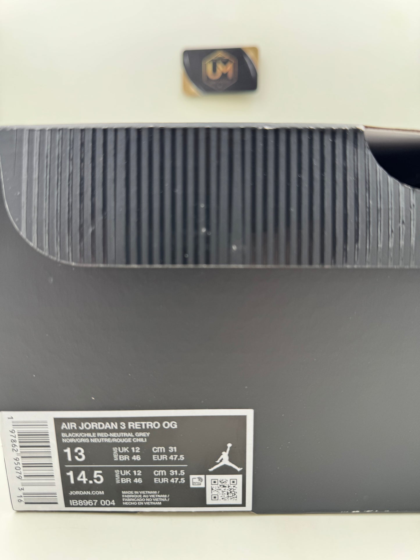 Jordan 3 ‘Rare Air’ | Size 13