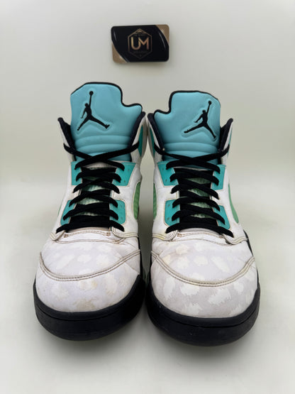 Jordan 5 ‘Island Green’ | Size 13