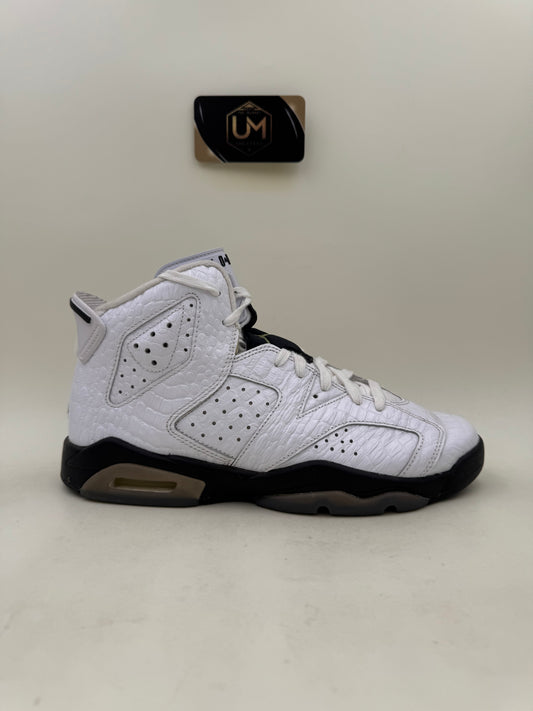 Jordan 6 ‘Alligator’ | Size 7Y
