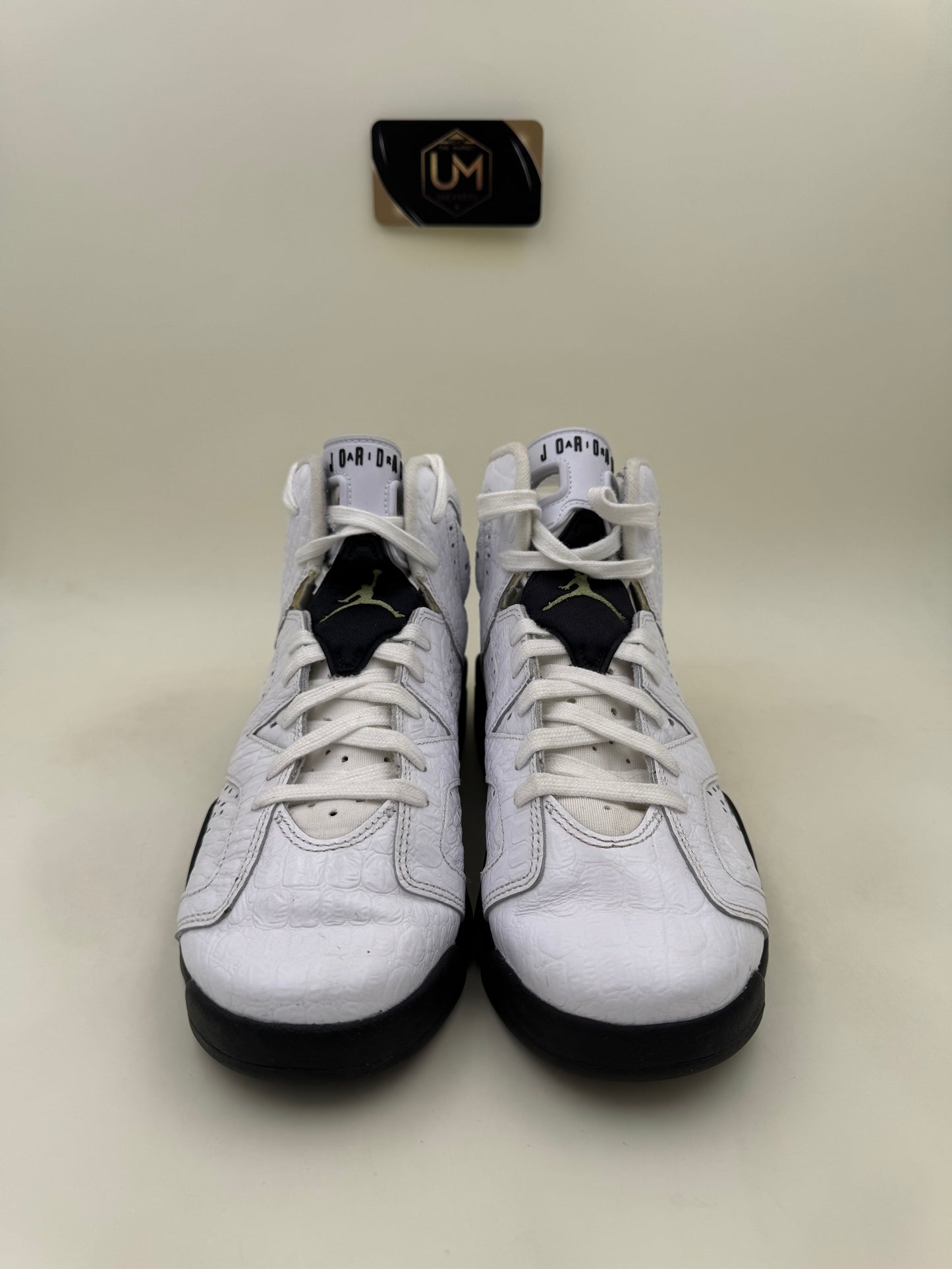 Jordan 6 ‘Alligator’ | Size 7Y