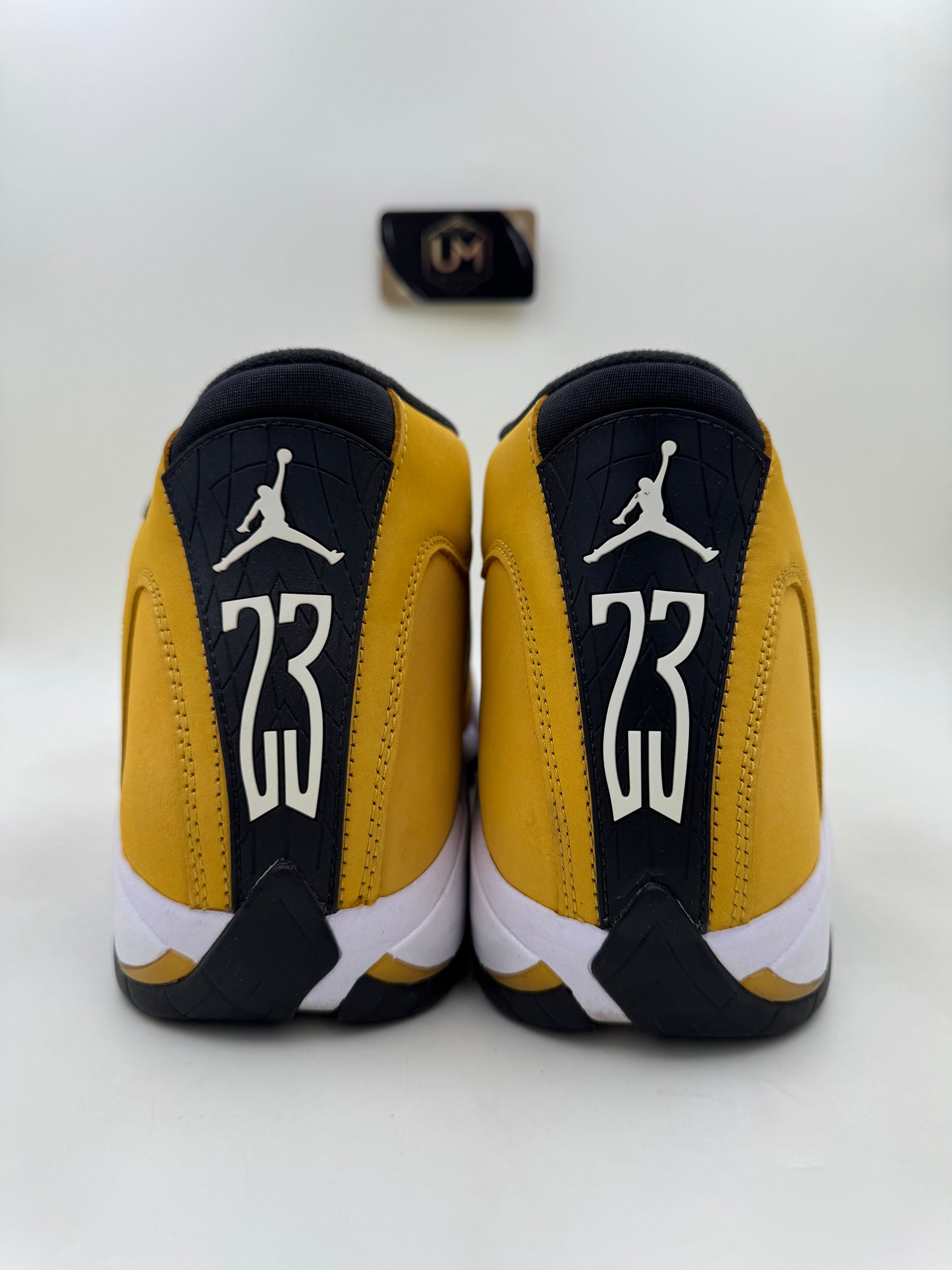 Jordan 14 'Ginger' | Size 13