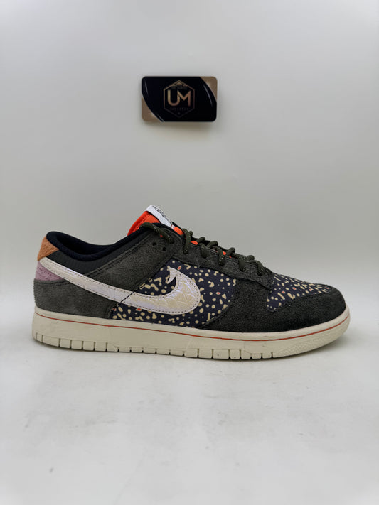 Nike Dunk SE ‘Gone Fishing - Rainbow Trout’ | Size 11
