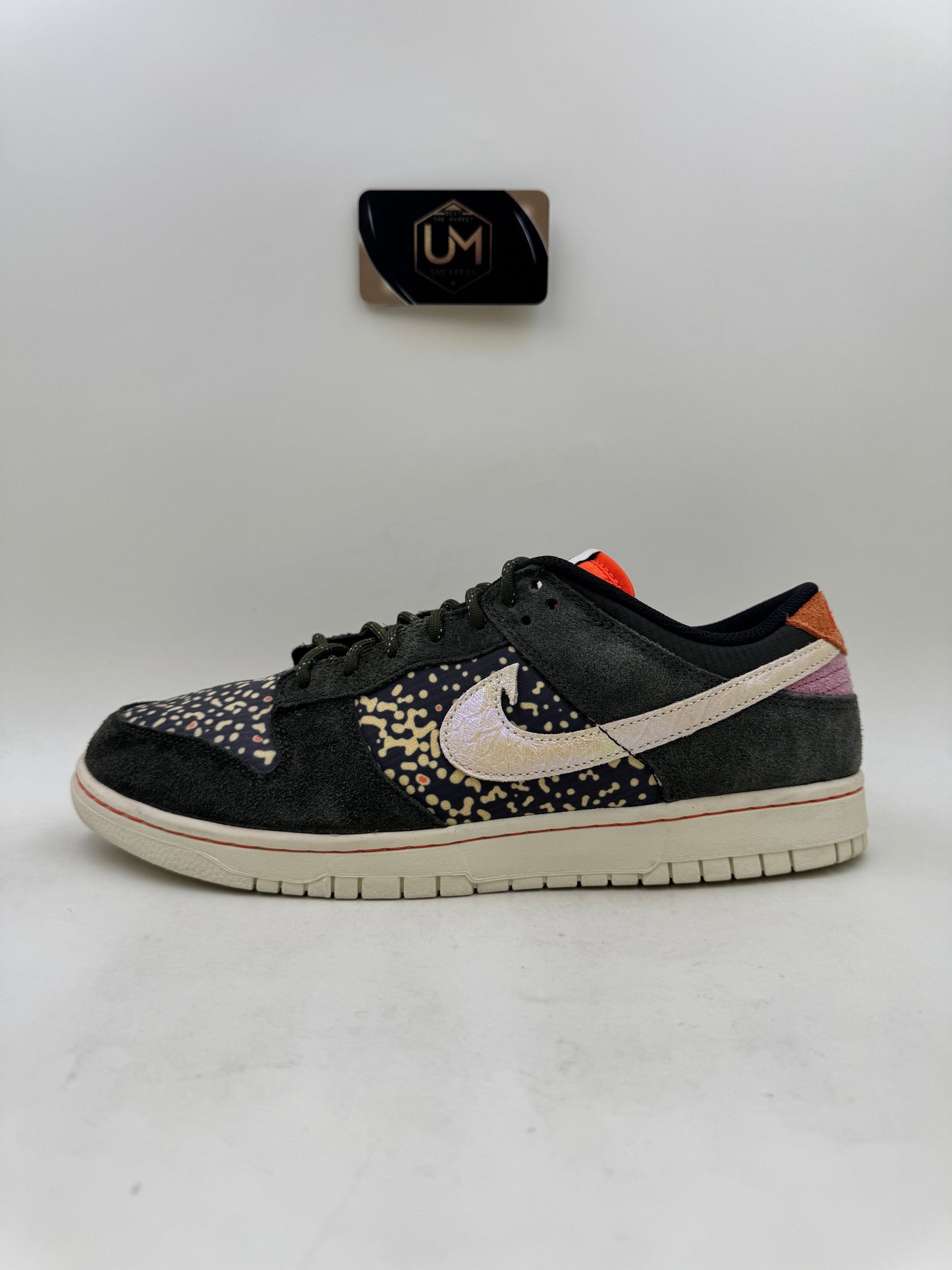 Nike Dunk SE ‘Gone Fishing - Rainbow Trout’ | Size 11