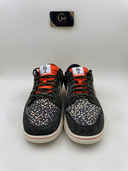 Nike Dunk SE ‘Gone Fishing - Rainbow Trout’ | Size 11