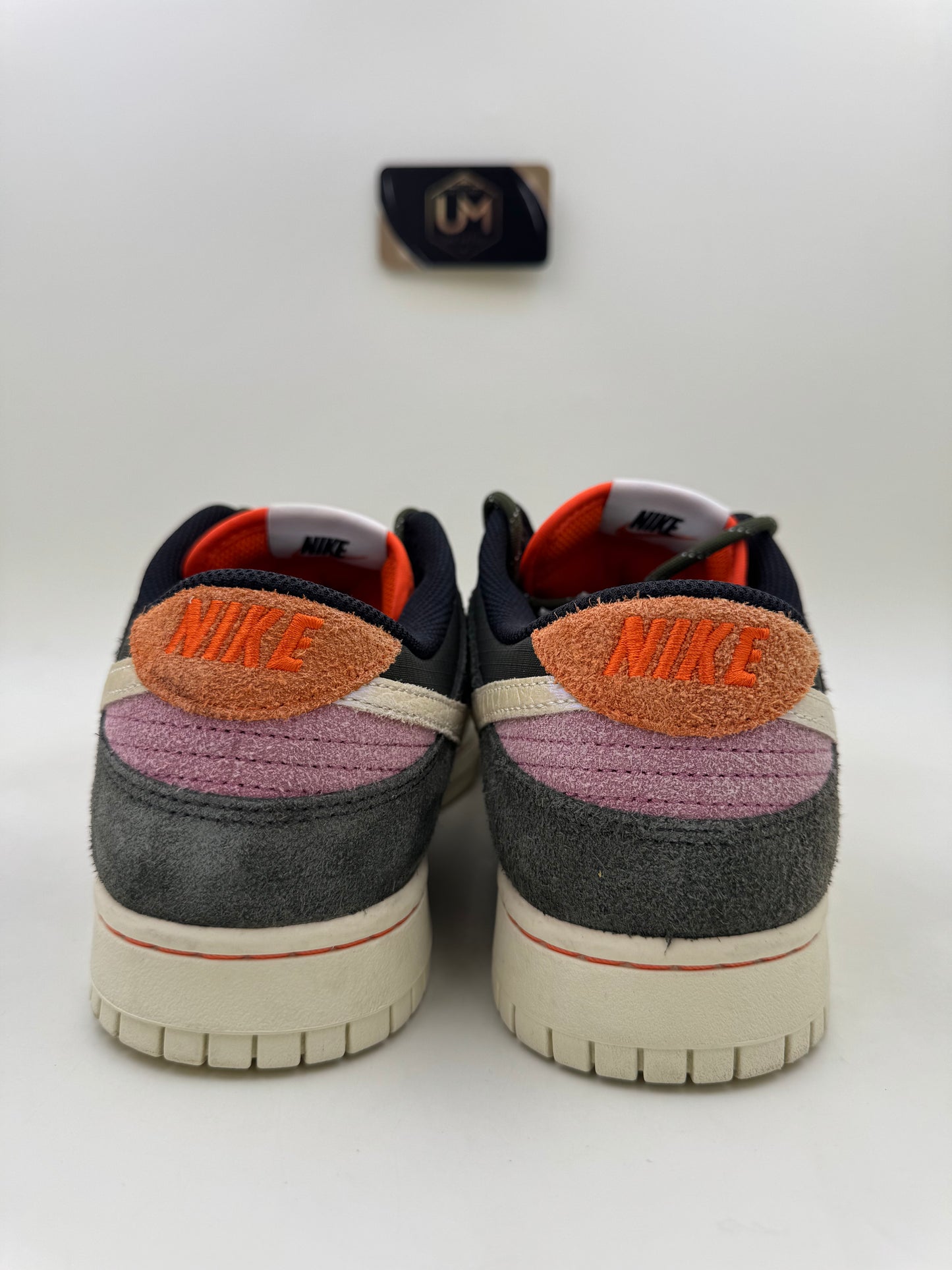 Nike Dunk SE ‘Gone Fishing - Rainbow Trout’ | Size 11