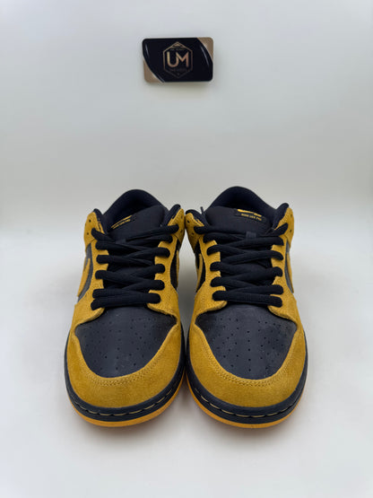Nike Dunk Low Pro ‘Iowa’ | Size 11