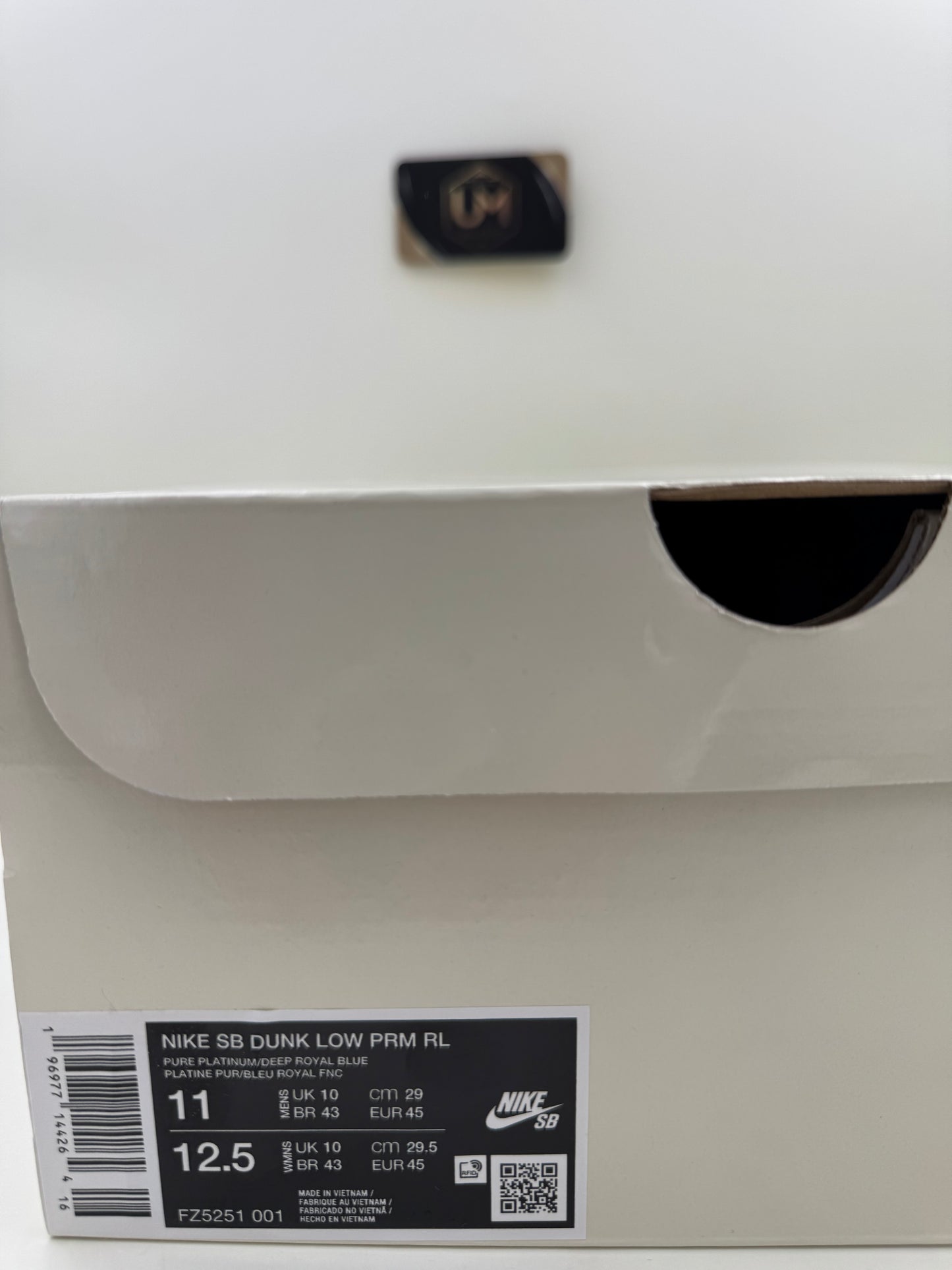 Nike Rayssa Leal x Dunk Low SB | Size 11