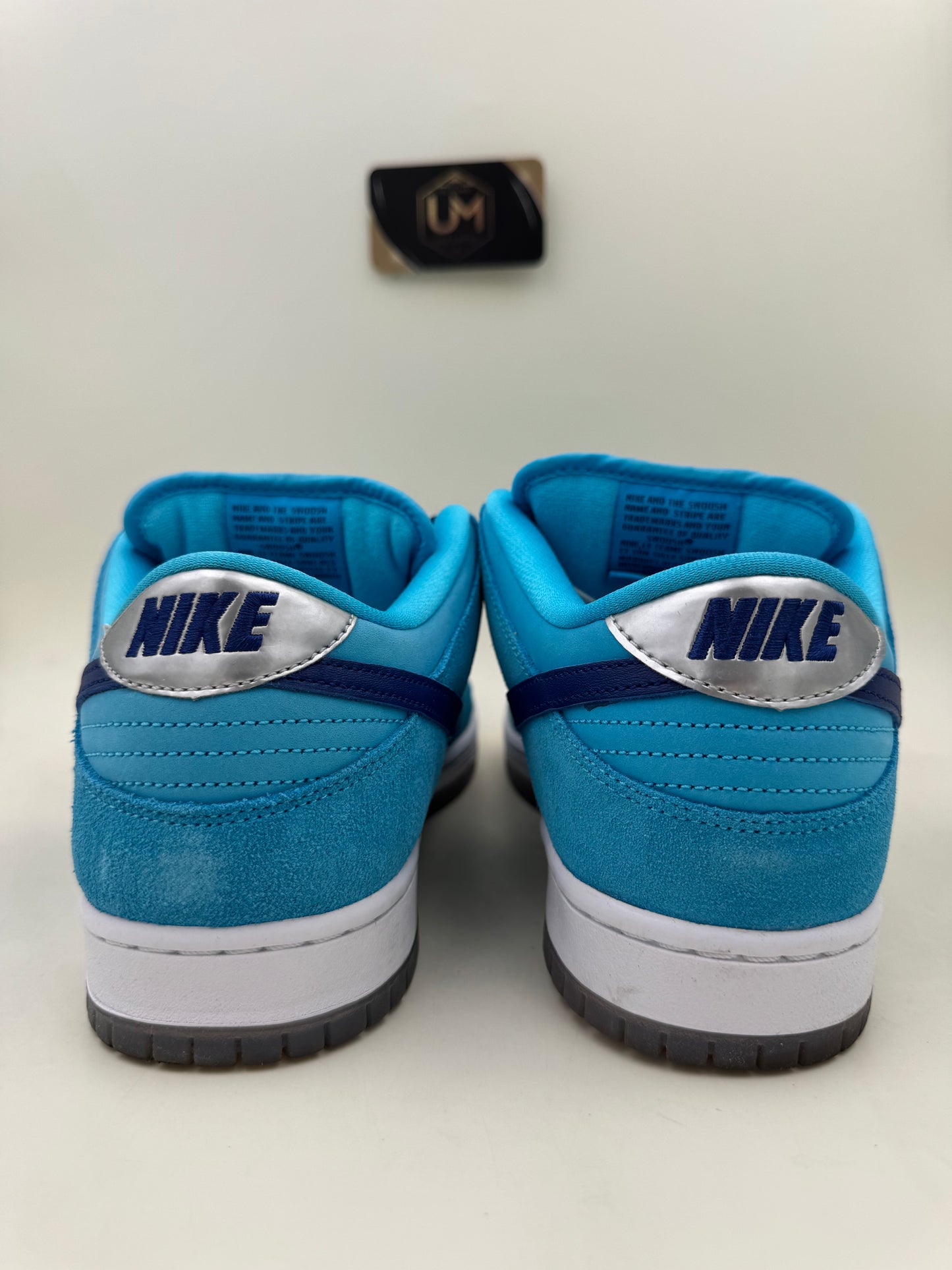 Nike Dunk Low SB ‘Blue Fury’ | Size 10