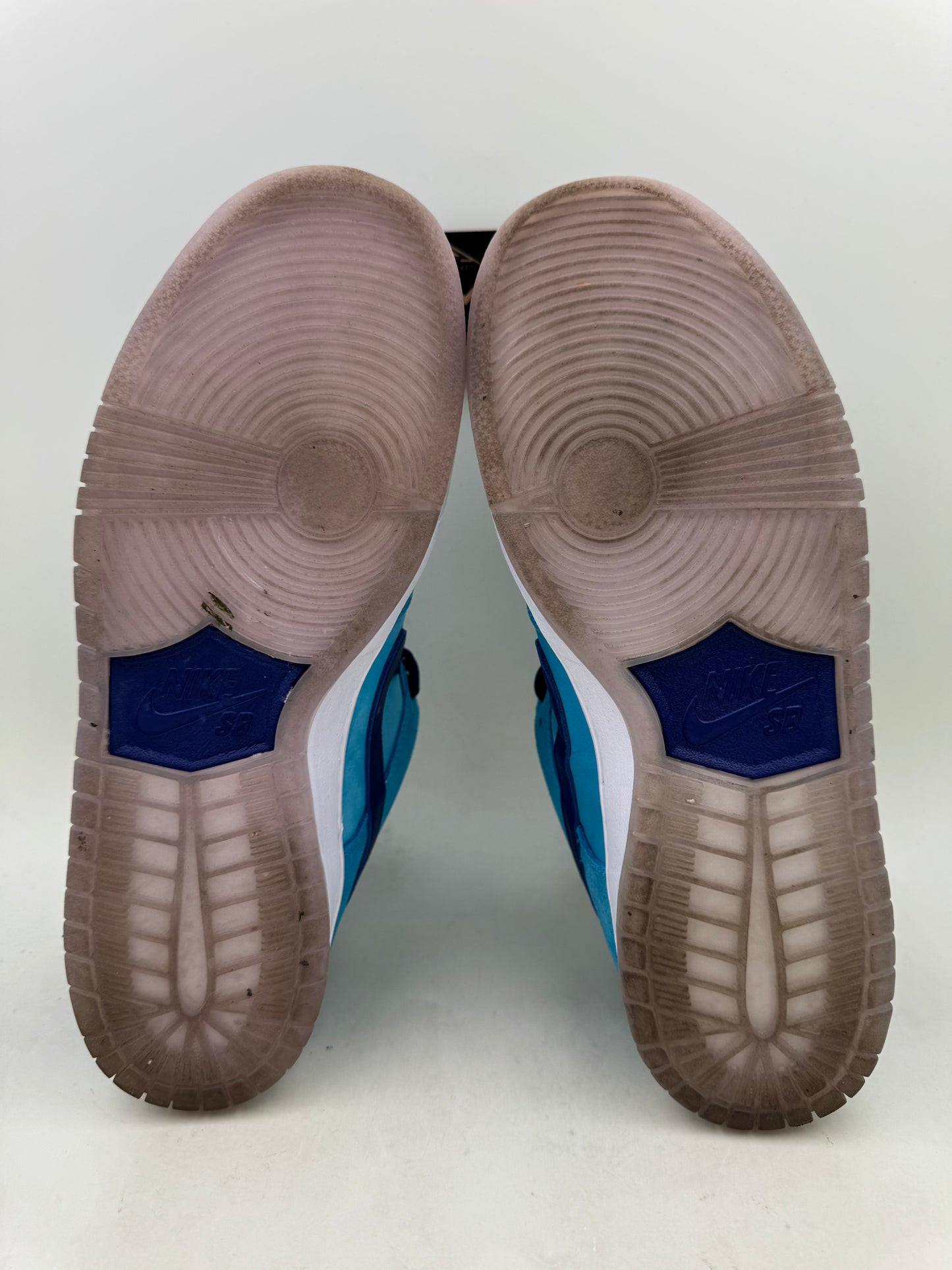 Nike Dunk Low SB ‘Blue Fury’ | Size 10