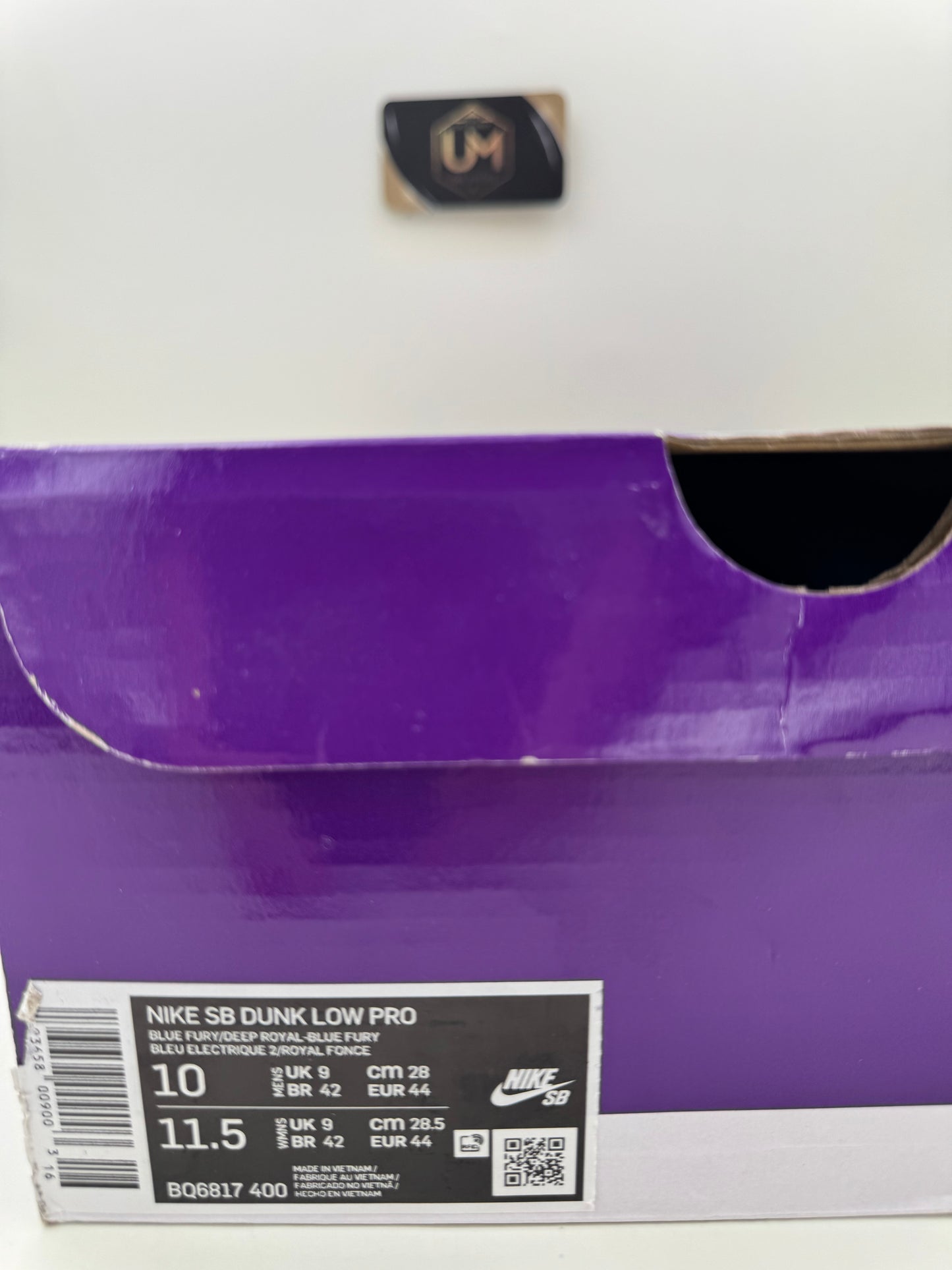 Nike Dunk Low SB ‘Blue Fury’ | Size 10