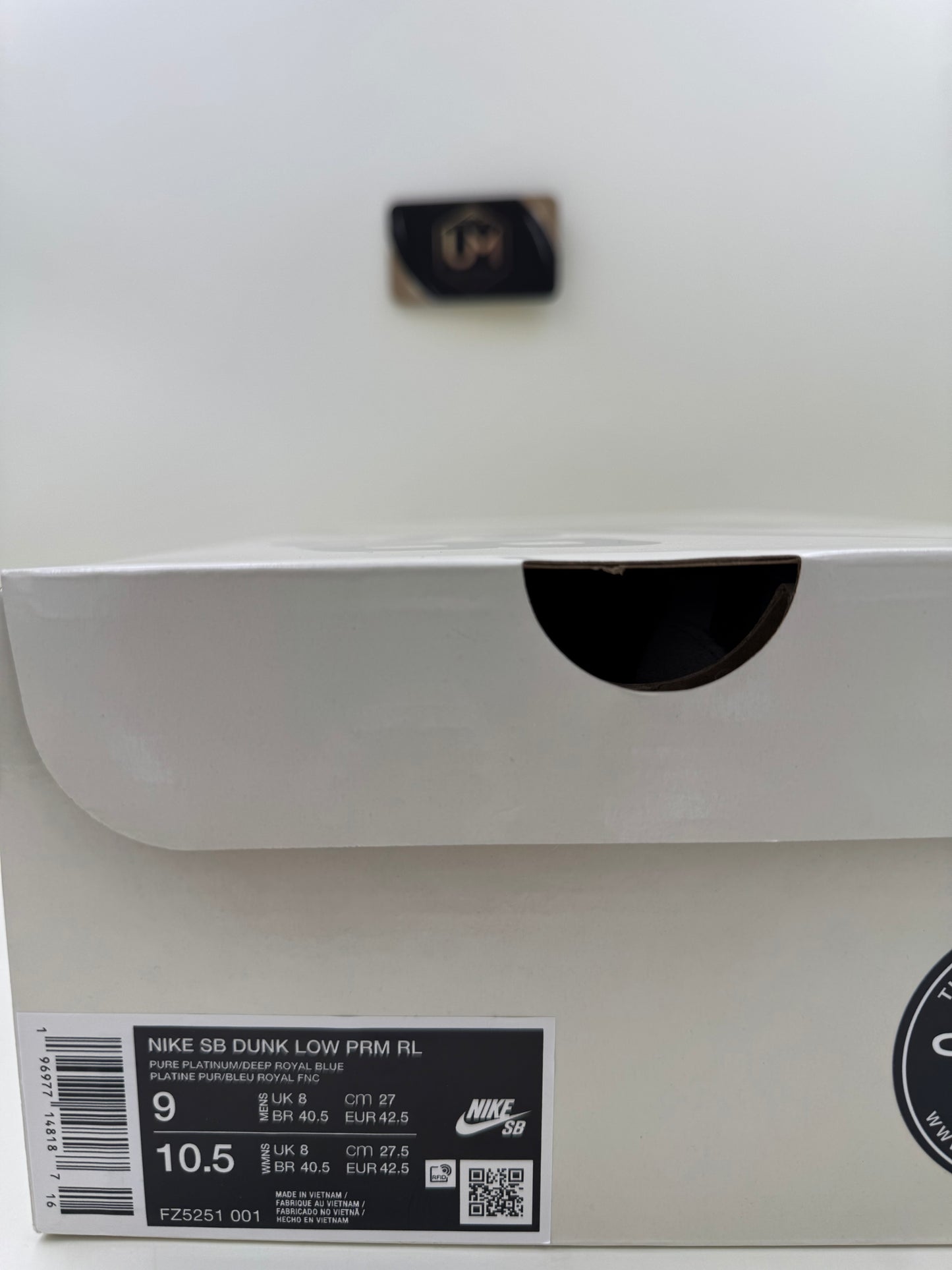 Rayssa Leal x Nike Dunk Low SB | Size 9