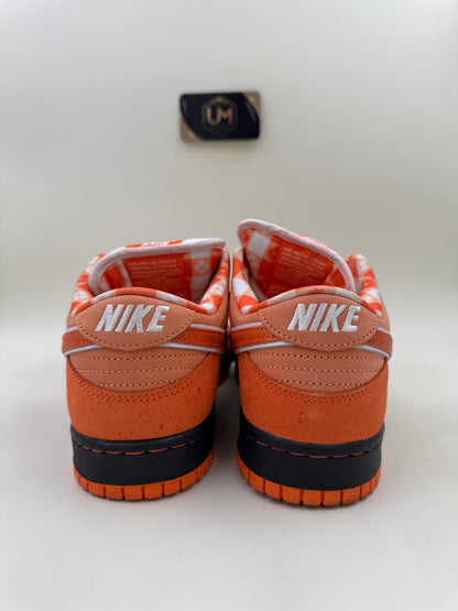 Concepts x Nike Dunk Low SB ‘Orange Lobster’ | Size 9