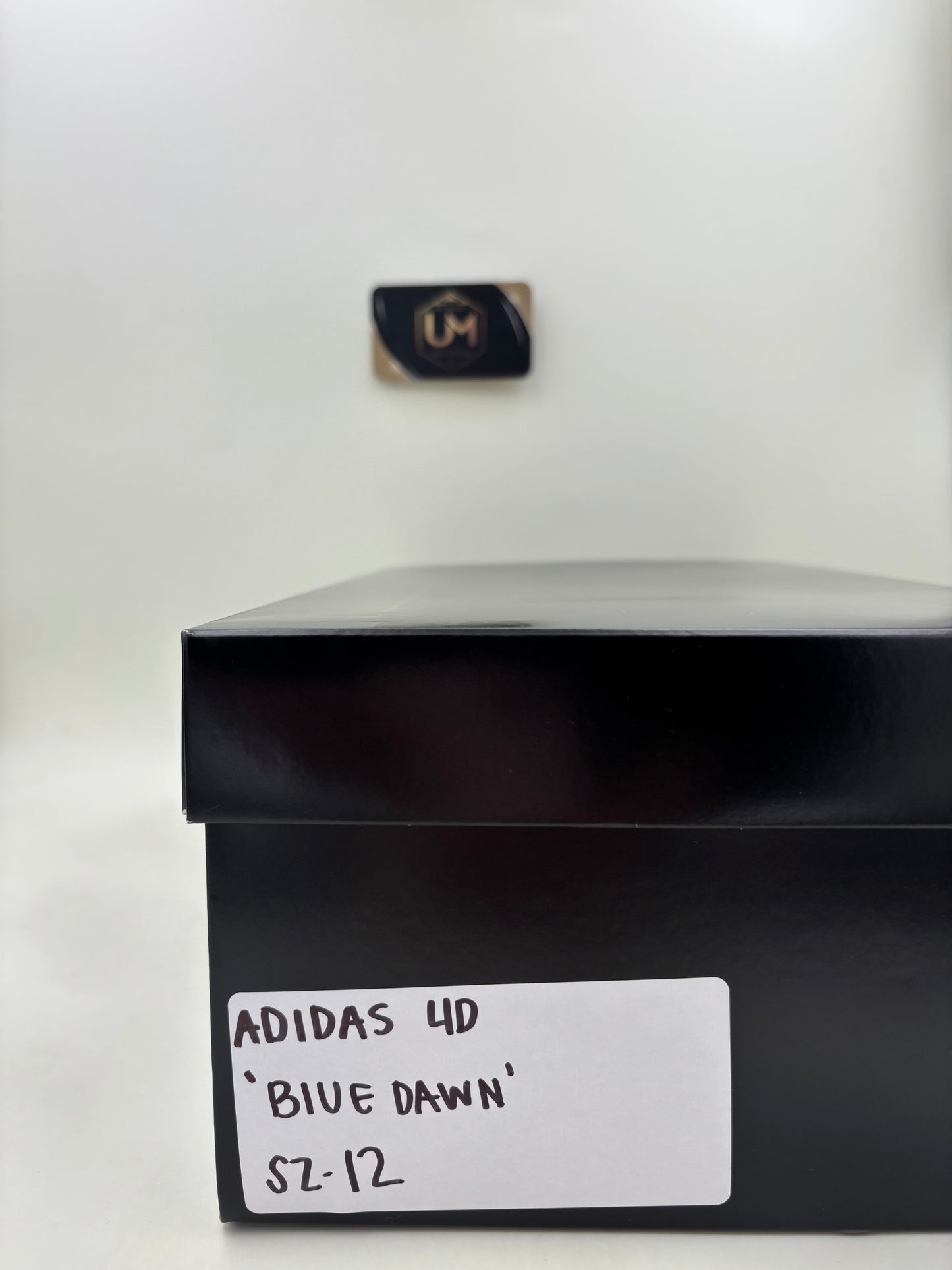 adidas 4DFWD ‘Blue Dawn’ | Size 12