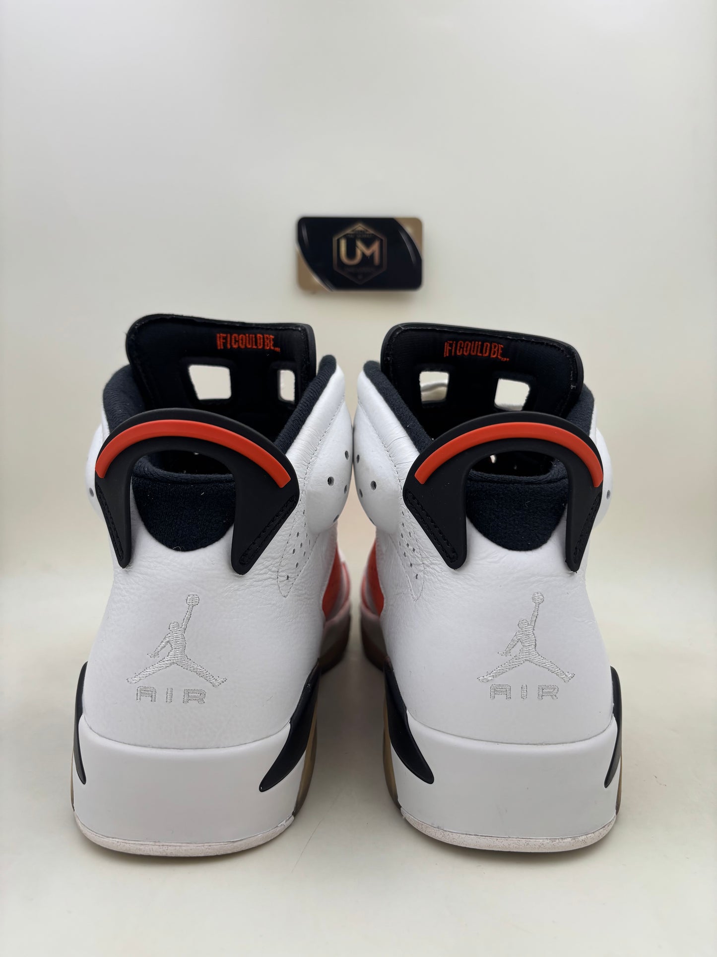 Jordan 6 ‘Gatorade' | Size 12