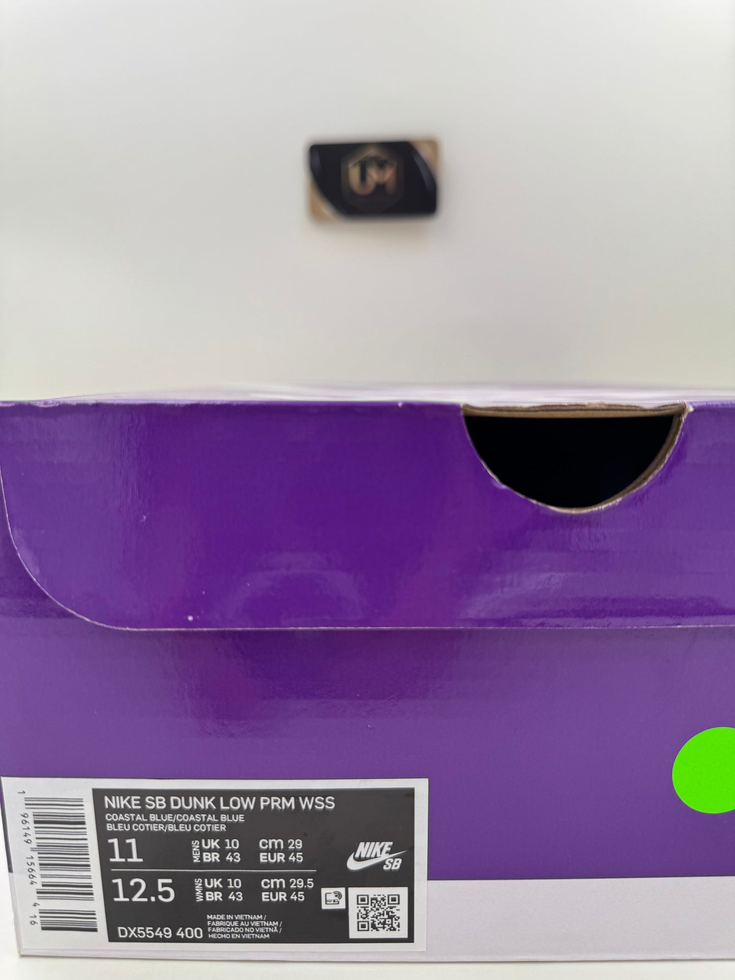 Why So Sad? x Nike Dunk Low SB ‘The Predatory Bird’ | Size 11