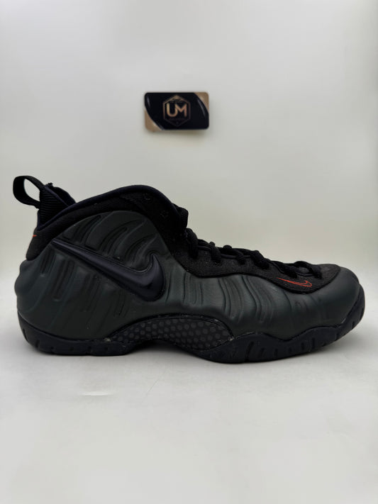 Nike Foamposite Pro ‘Sequoia’ | Size 12