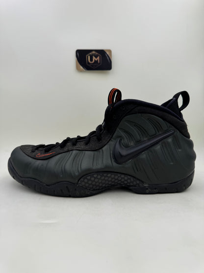 Nike Foamposite Pro ‘Sequoia’ | Size 12