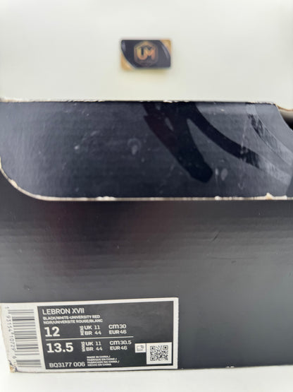 Nike LeBron 17 ‘Infrared VI’ | Size 12