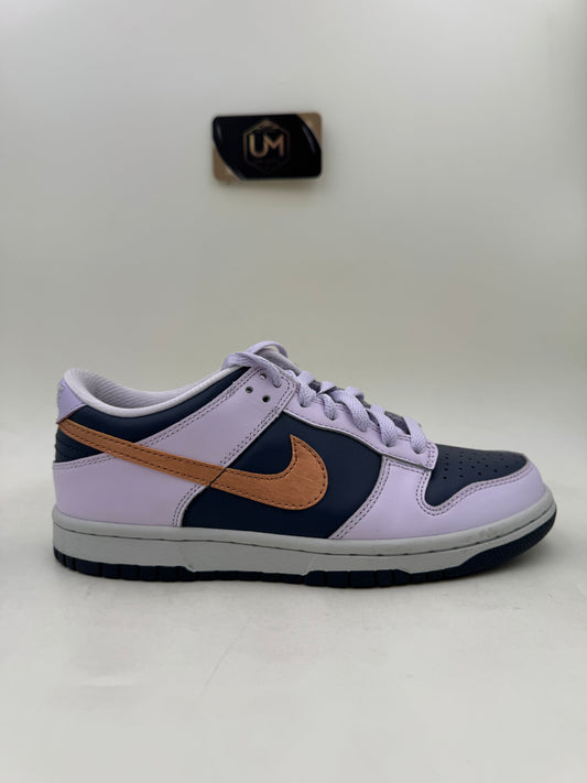 Nike Dunk Low SE 'Copper Swoosh' | Size 5.5Y