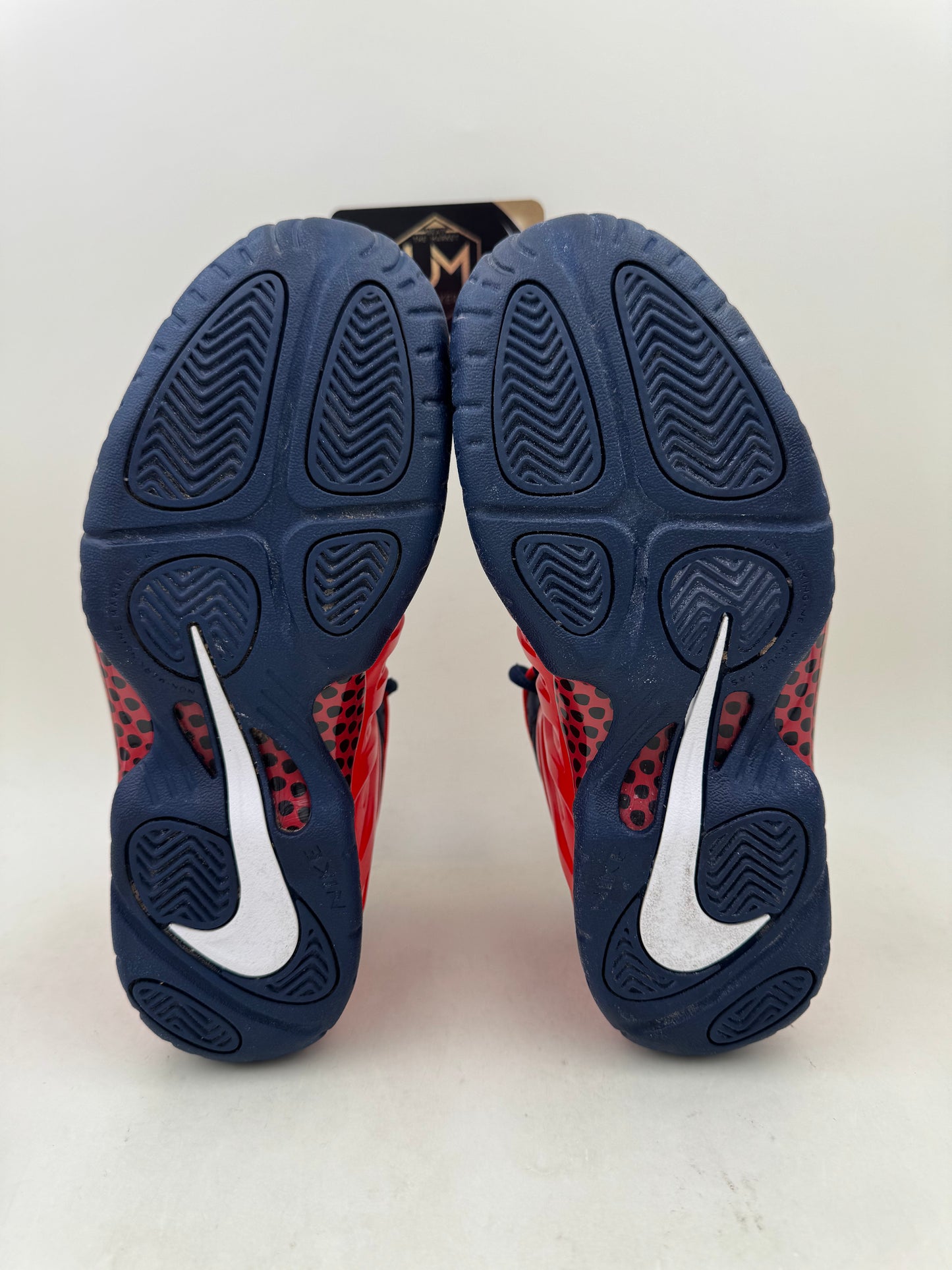 Nike Little Posite One Pro 'USA' | Size 5.5Y