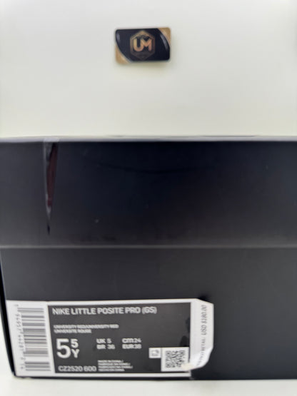 Nike Little Posite One Pro 'USA' | Size 5.5Y