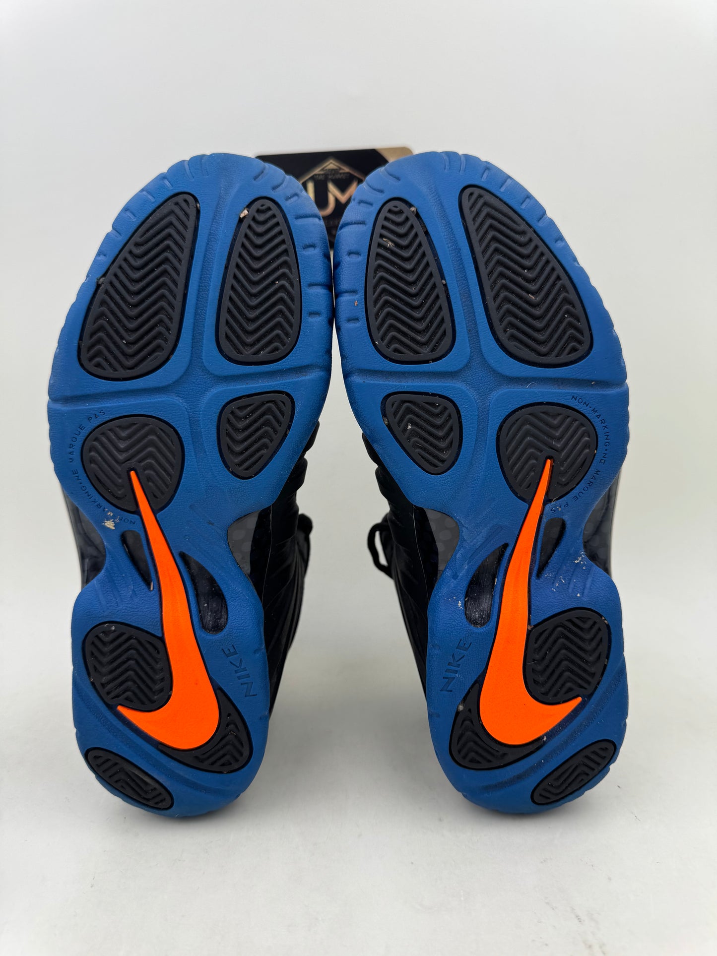 Nike Little Posite One Pro 'Knicks' | Size 5.5Y
